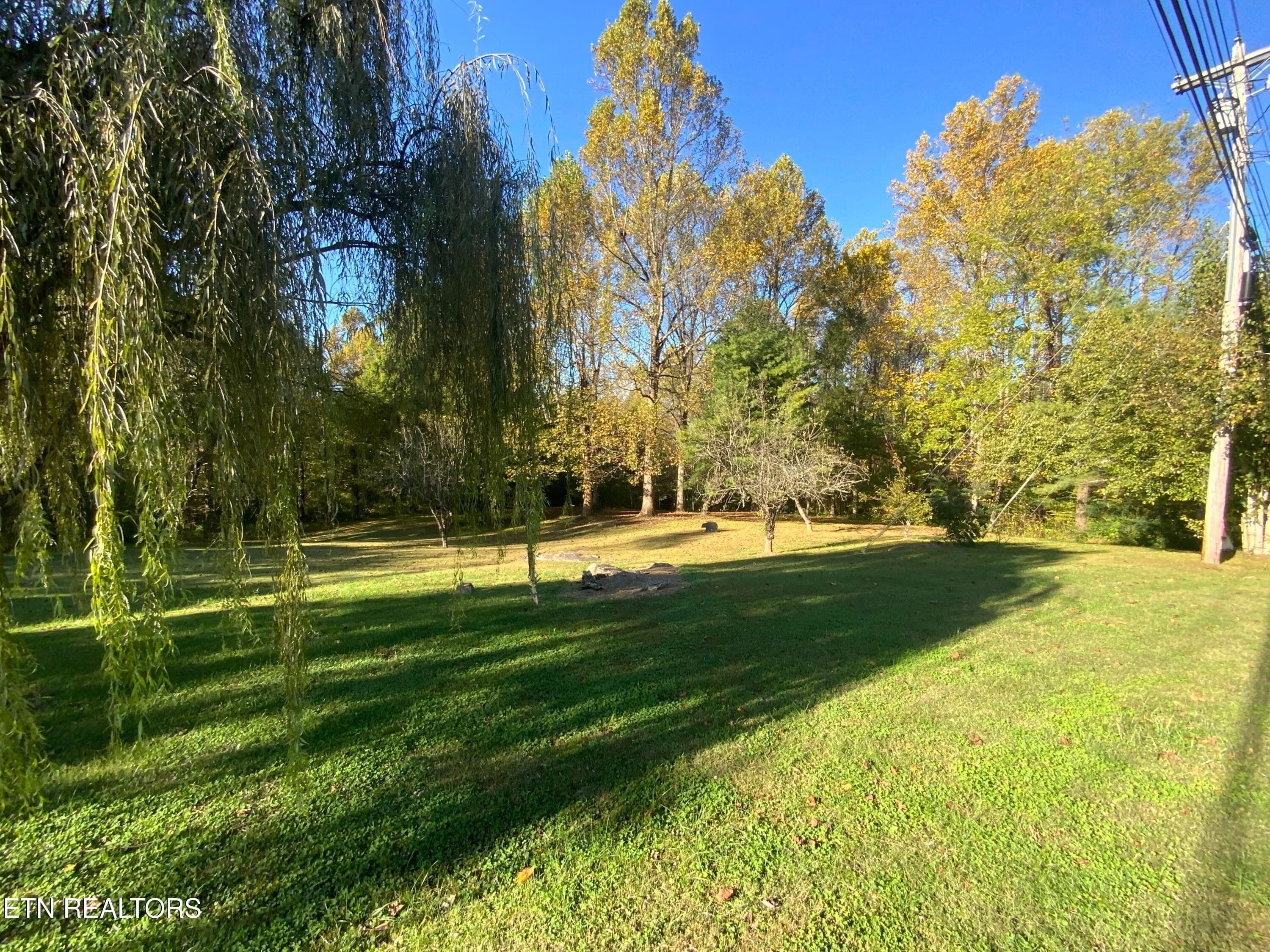 IMG_3608 - 4455 Trail Hollow Rd, Cosby, TN 37722