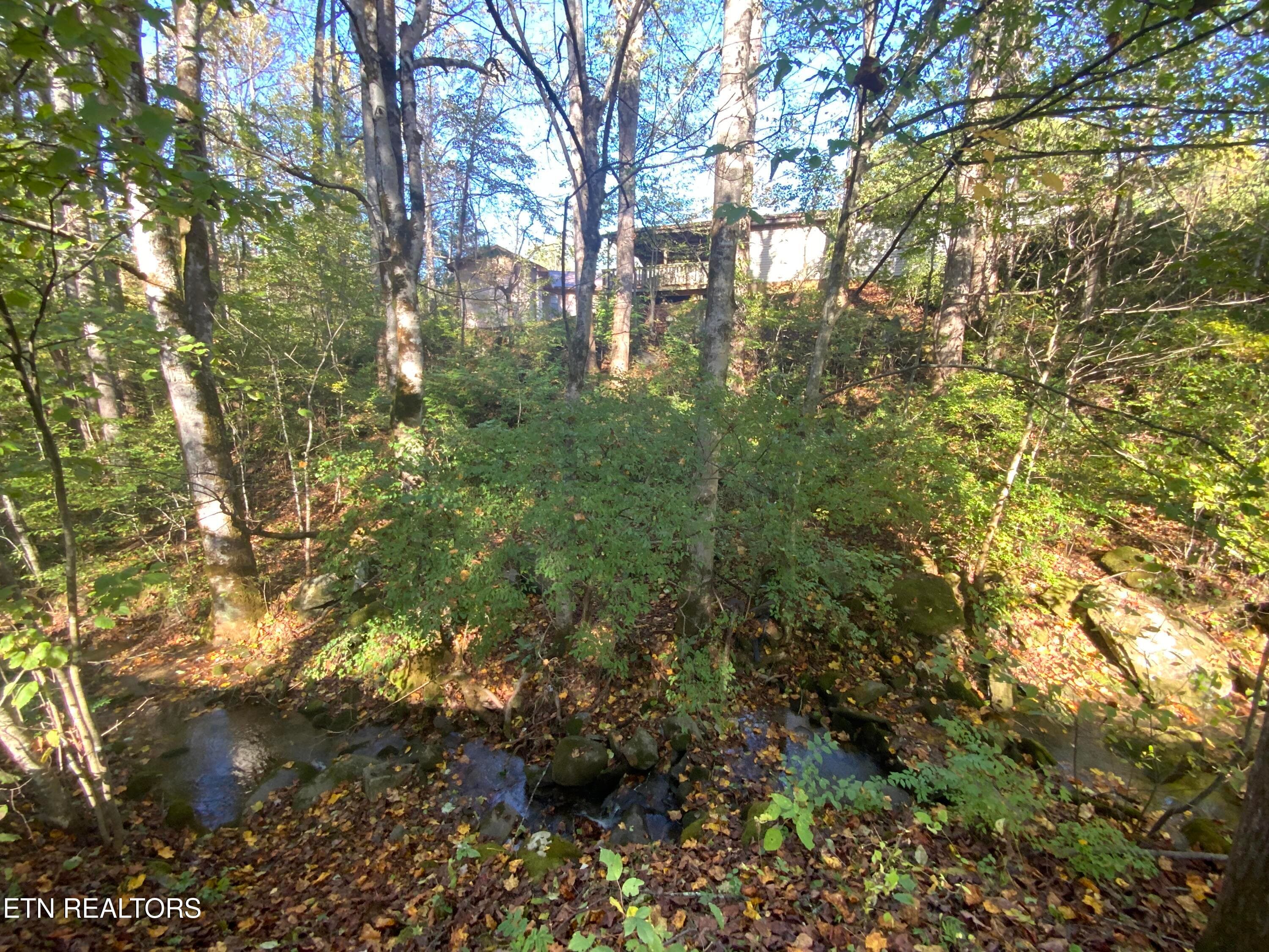 IMG_3612 - 4455 Trail Hollow Rd, Cosby, TN 37722