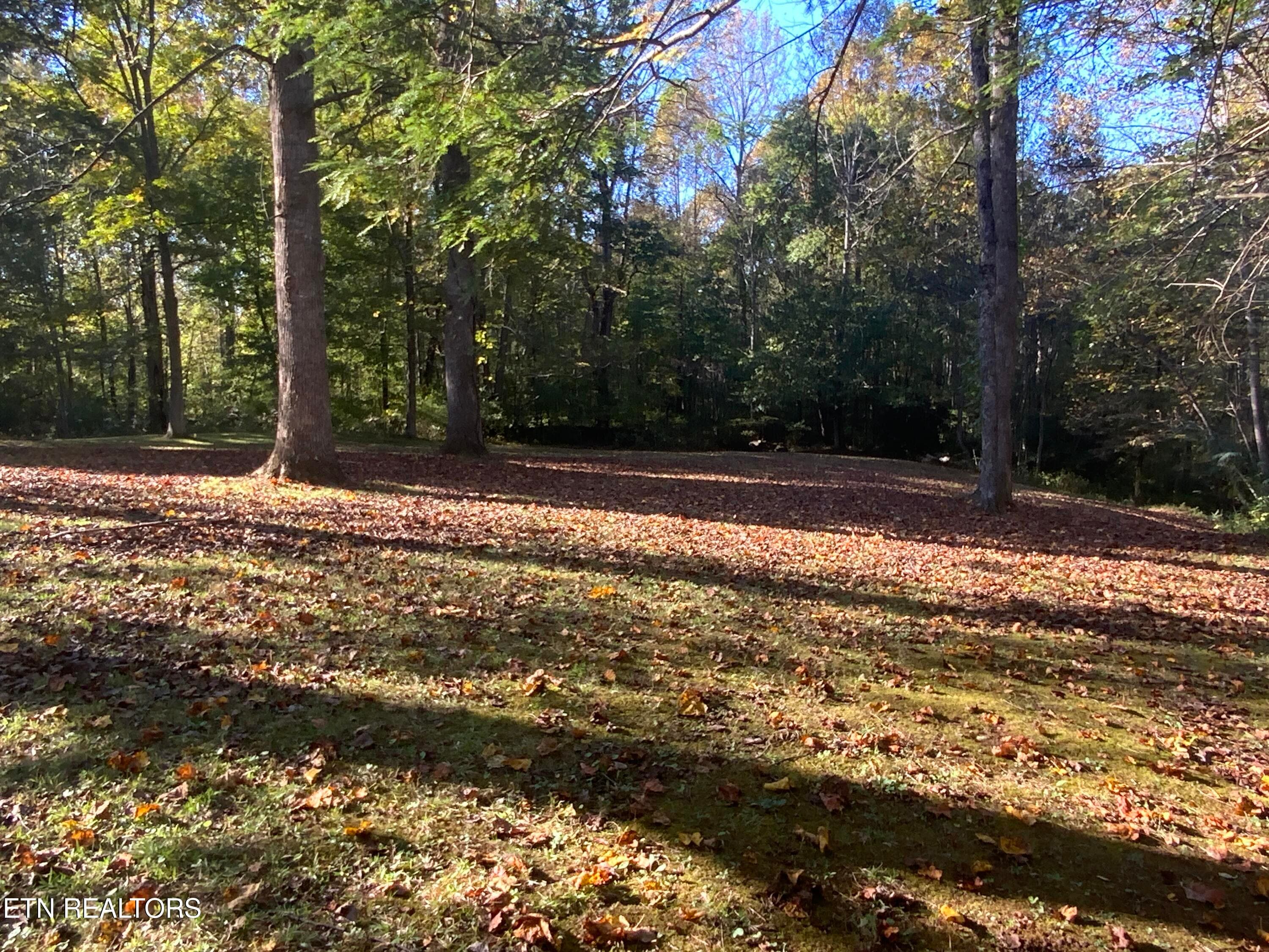 IMG_3615 - 4455 Trail Hollow Rd, Cosby, TN 37722