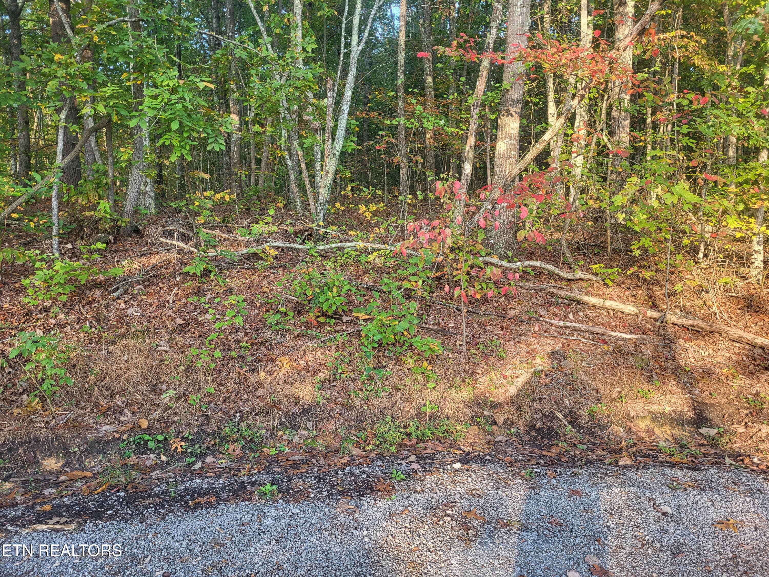 23 Oakburn Court, Crossville, TN 38558