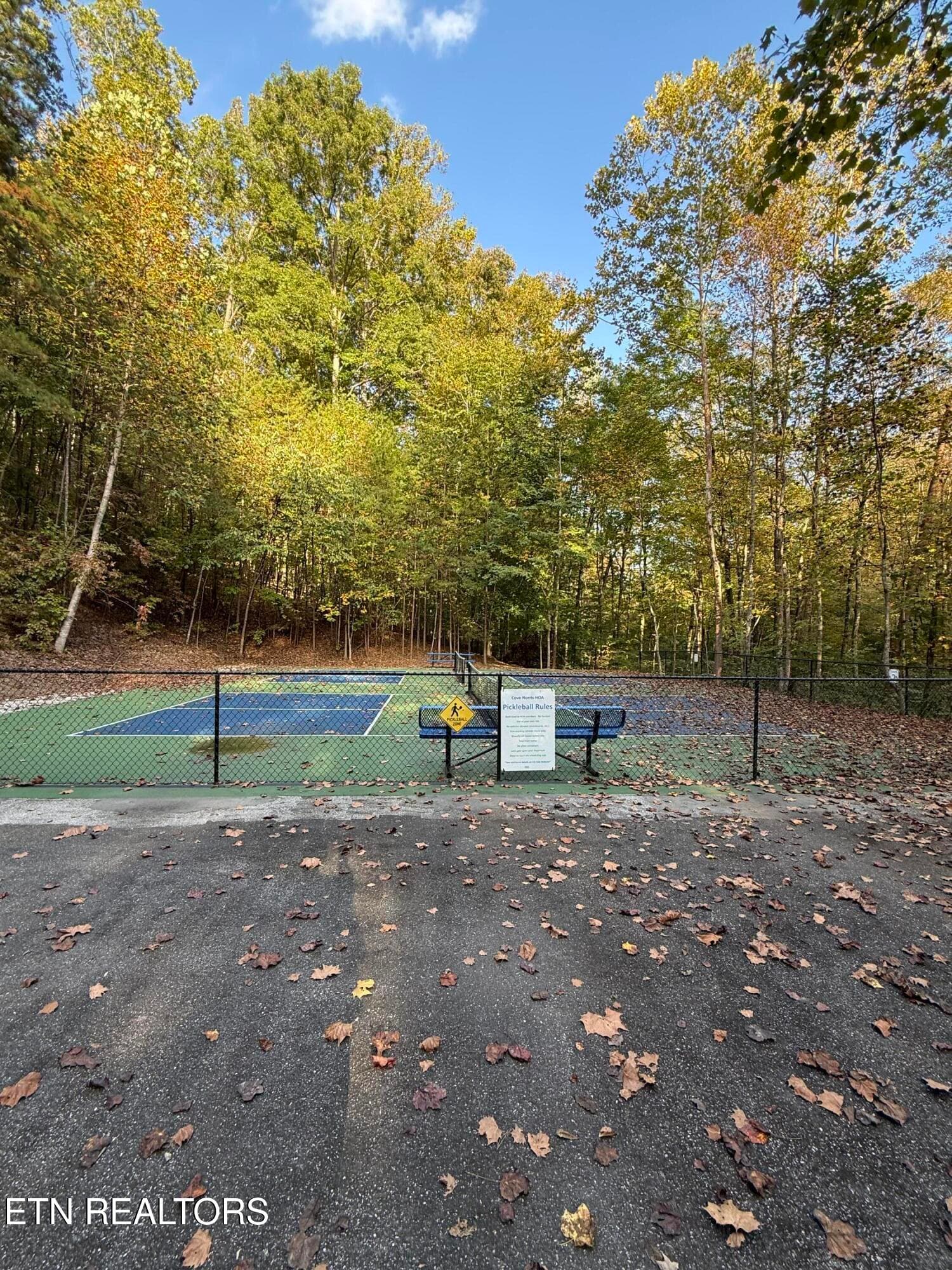 IMG_2817 - 63 Cove Norris Rd, Caryville, TN 37714