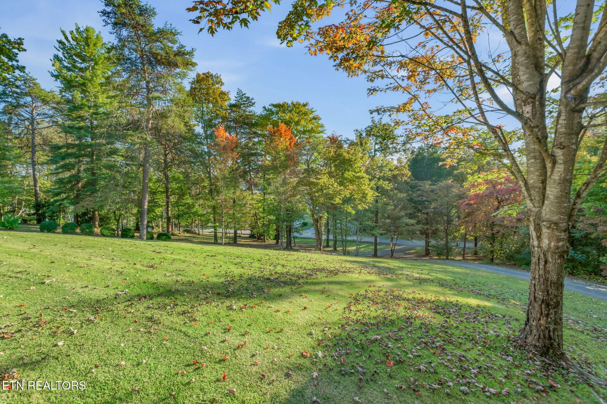 13-web-or-mls-235 Lawnville Road-25 - 235 Lawnville Rd, Kingston, TN 37763