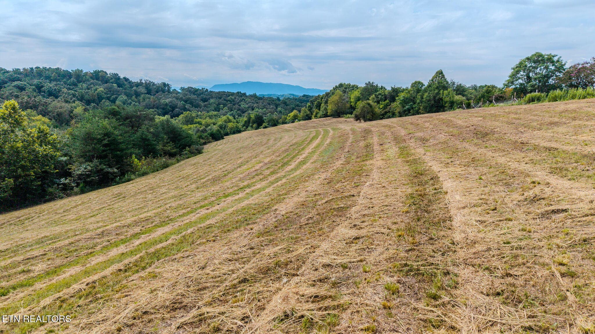 2-web-or-mls-3274-bent-rd - Bent Rd, Kodak, TN 37764