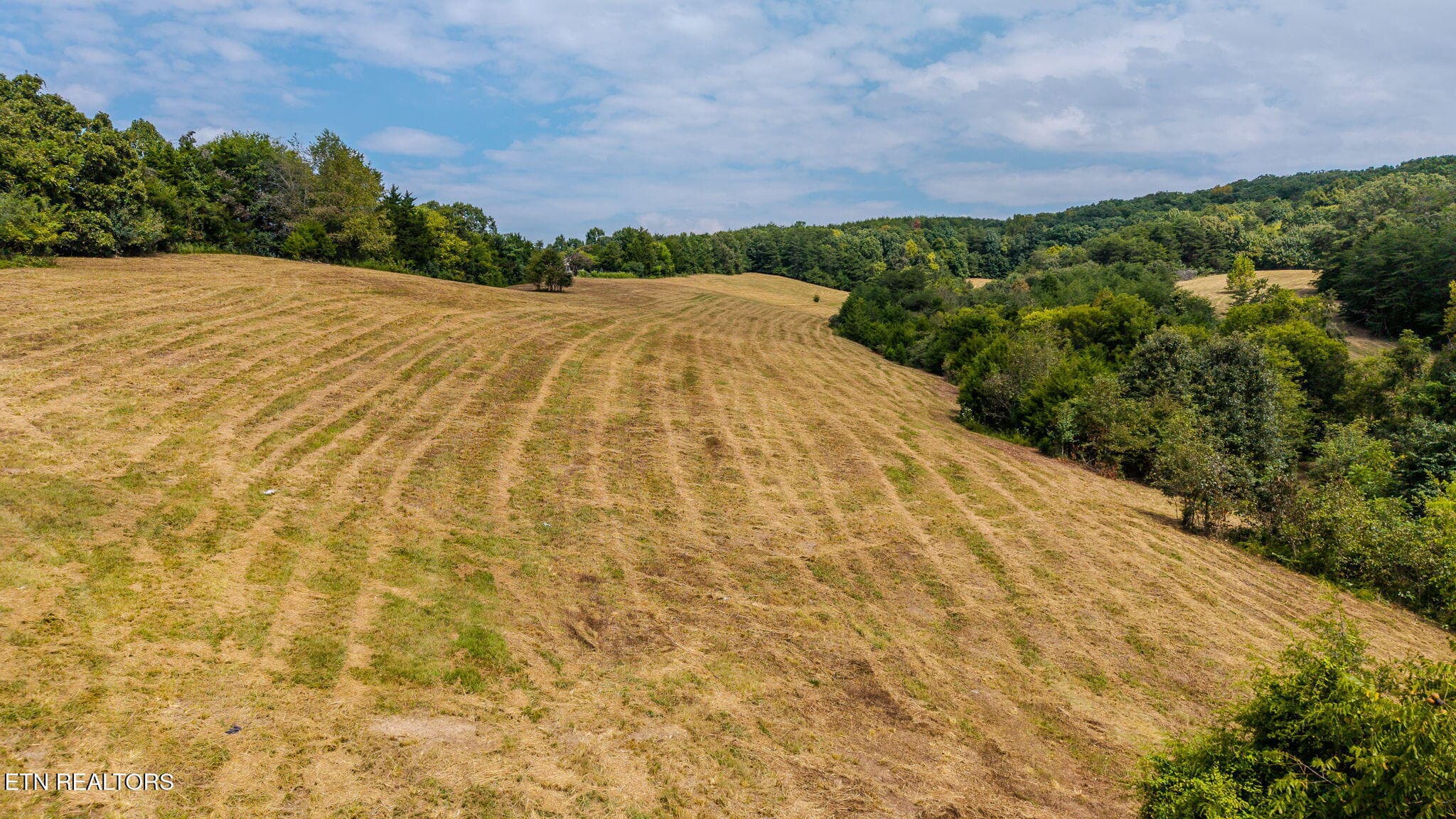 3-web-or-mls-3274-bent-rd - Bent Rd, Kodak, TN 37764