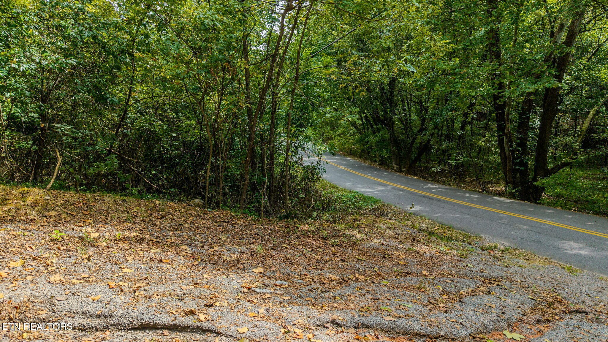 4-web-or-mls-3274-bent-rd - Bent Rd, Kodak, TN 37764