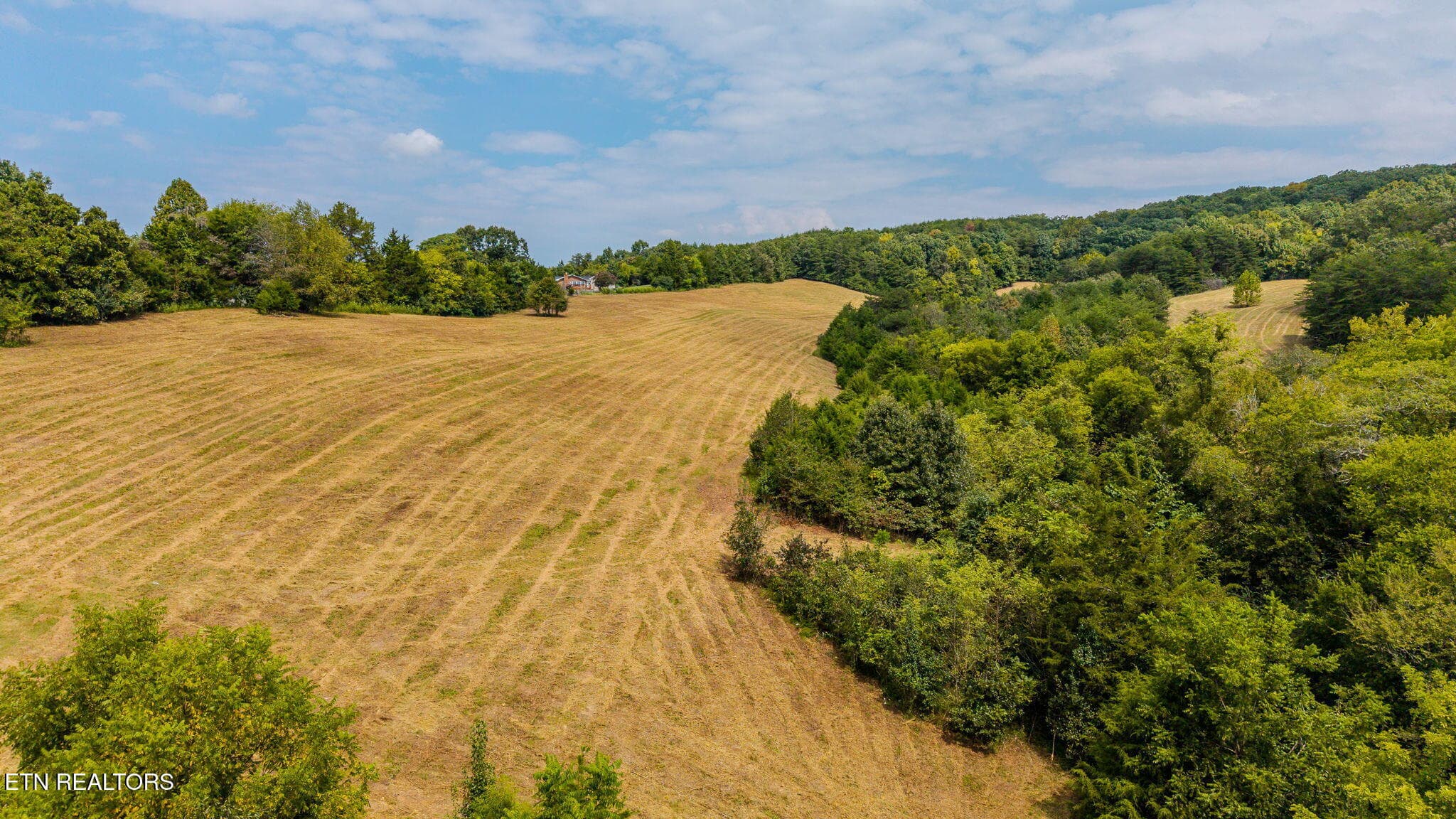 8-web-or-mls-3274-bent-rd - Bent Rd, Kodak, TN 37764