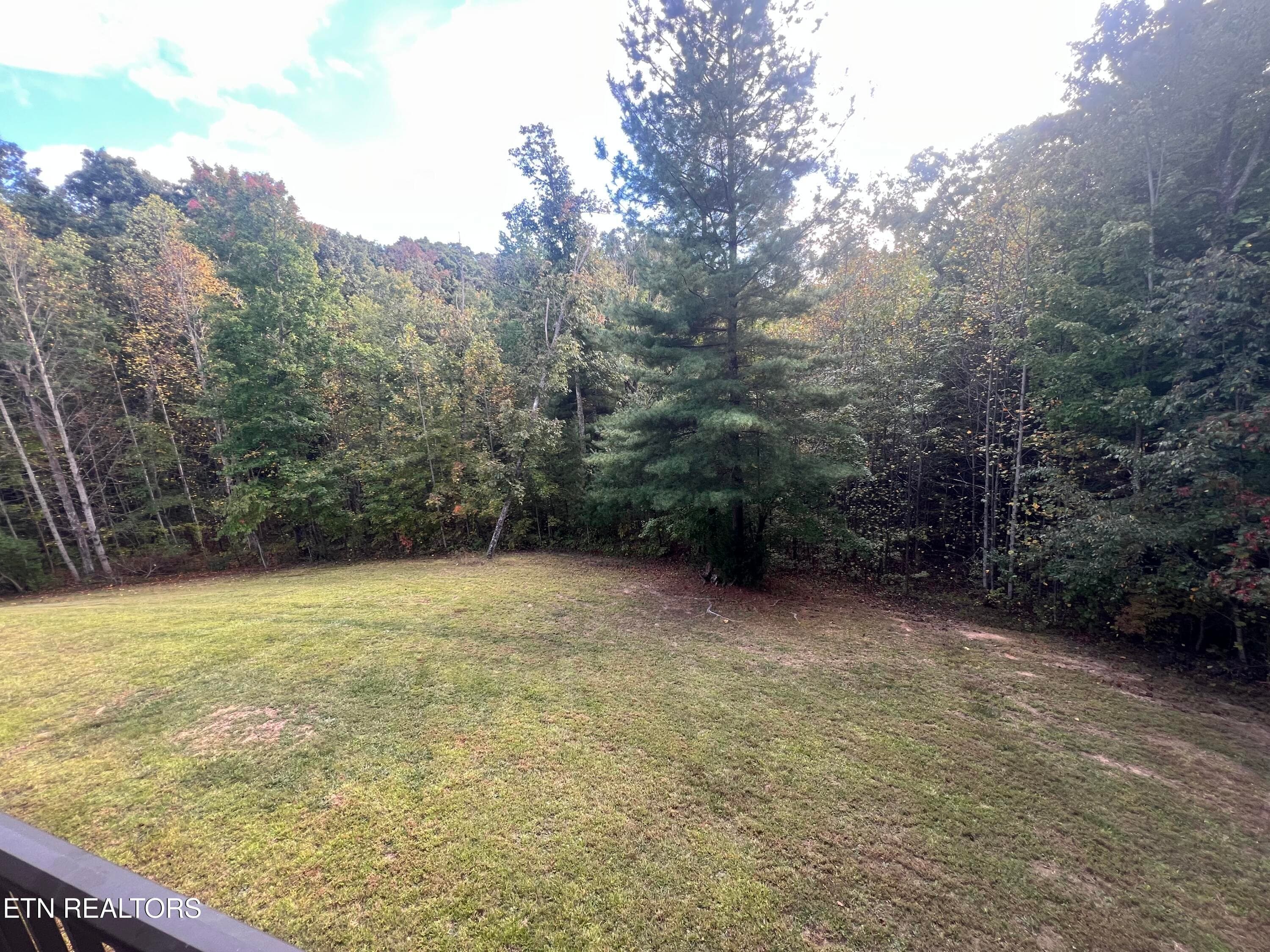 IMG_4731 (1) - 425 Indian Hills Rd, Oneida, TN 37841, Oneida