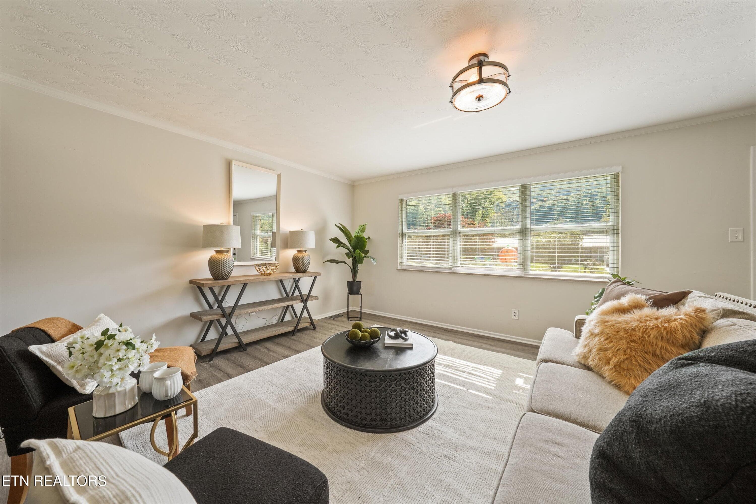 Great Room - Living Room Area - 4401 Genny Lynn Drive, Knoxville, TN 37918, Knoxville