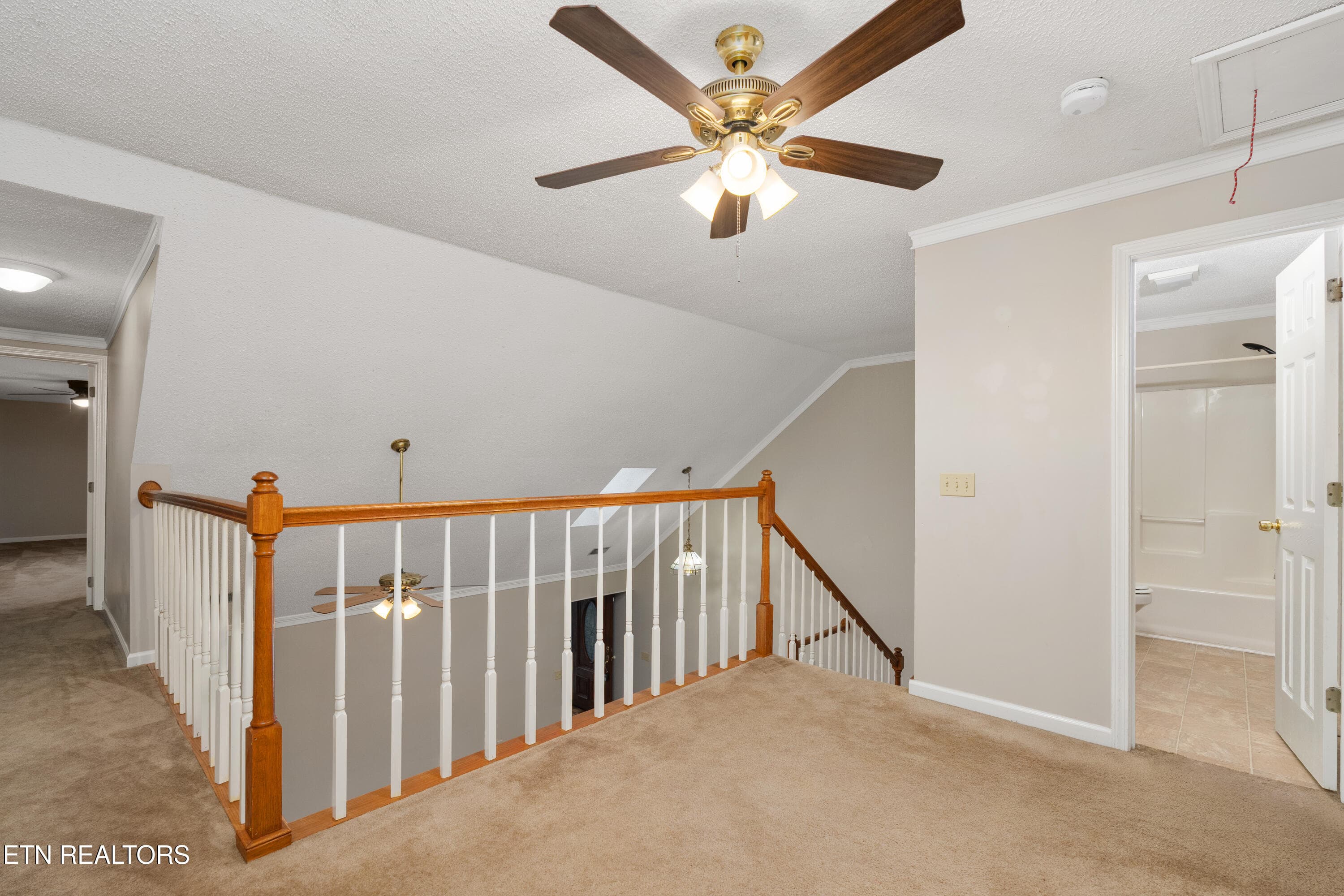 DSC09073 - 3711 Apple Grove Circle, Kingsport, TN 37664