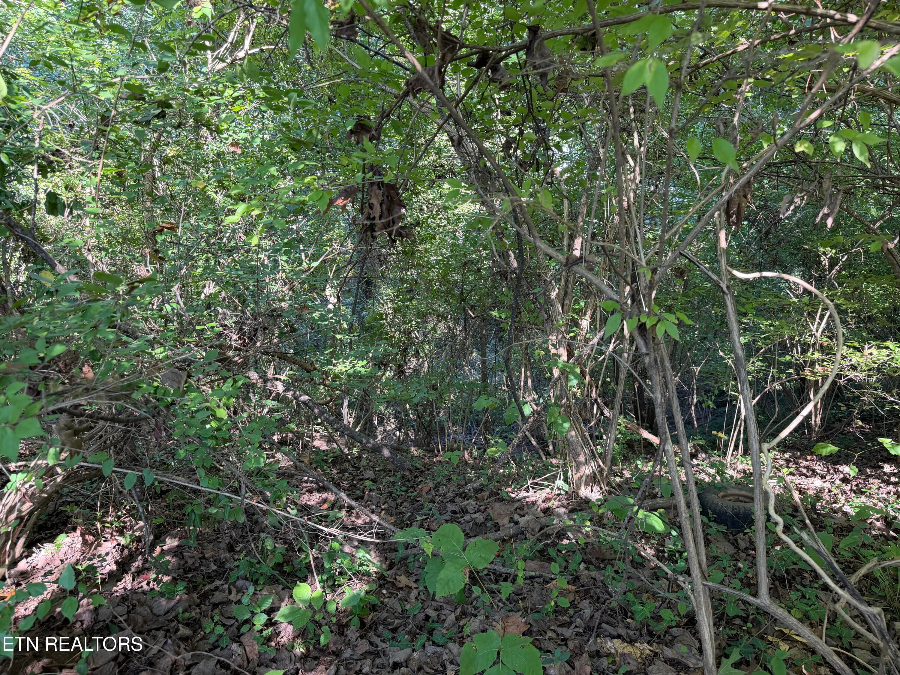 IMG_6164 - 0 Culpepper Rd, Knoxville, TN 37917