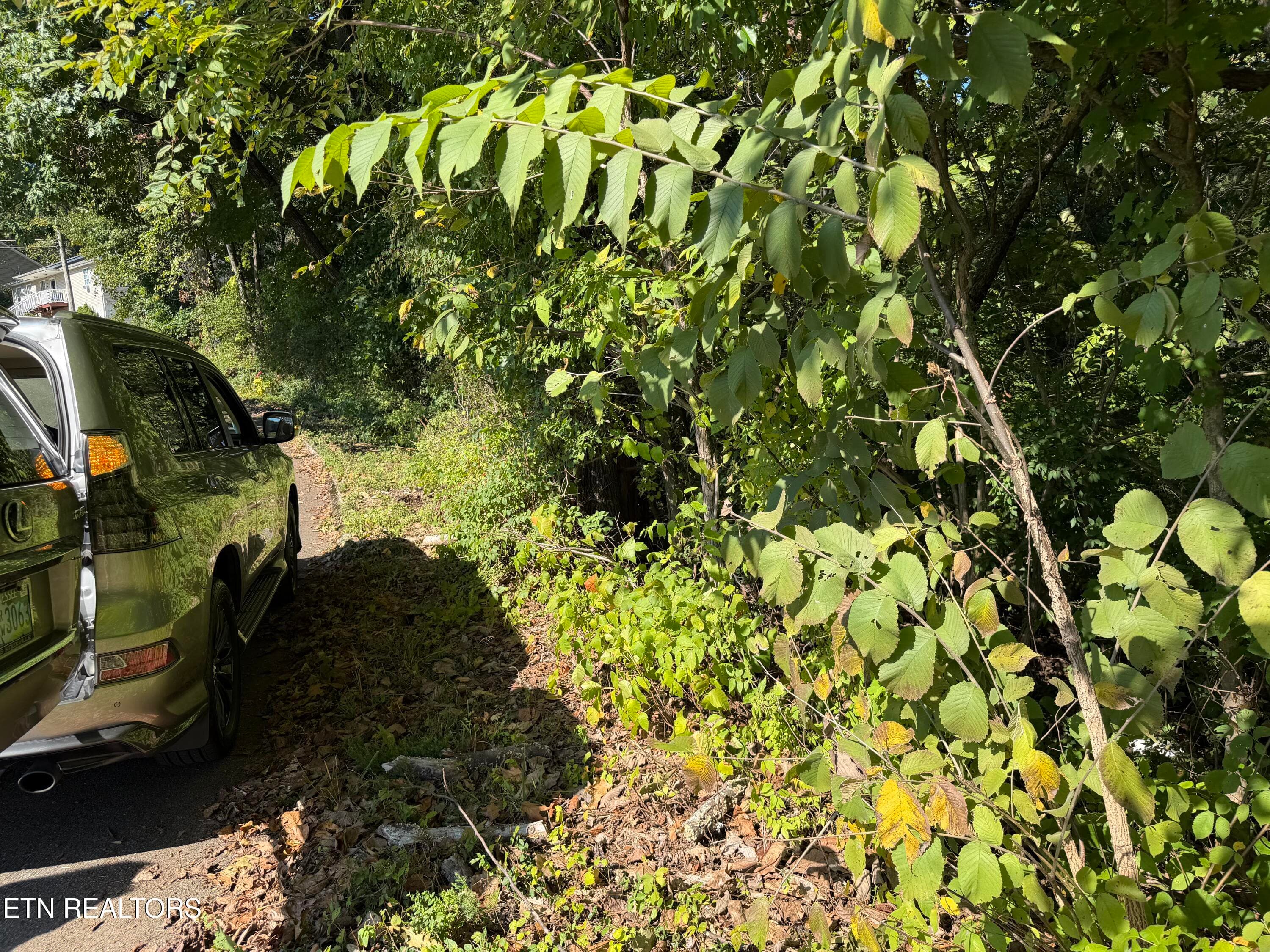 IMG_6156 - 0 Culpepper Rd, Knoxville, TN 37917