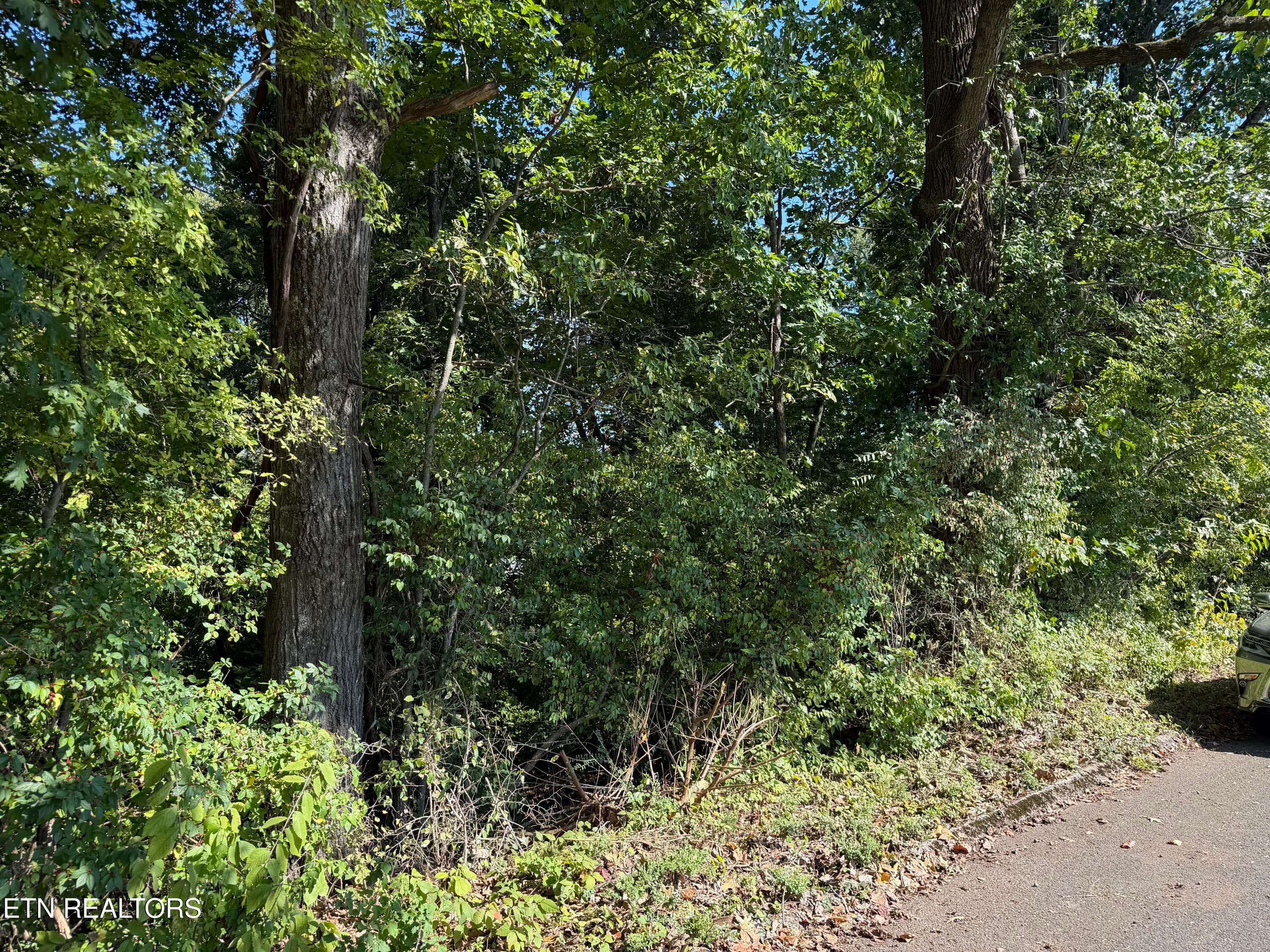 IMG_6148 - 0 Culpepper Rd, Knoxville, TN 37917