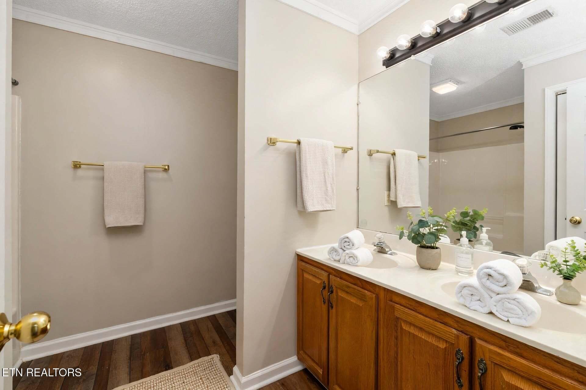 DSC09033-stage-master-bathroom - 3711 Apple Grove Circle, Kingsport, TN 37664