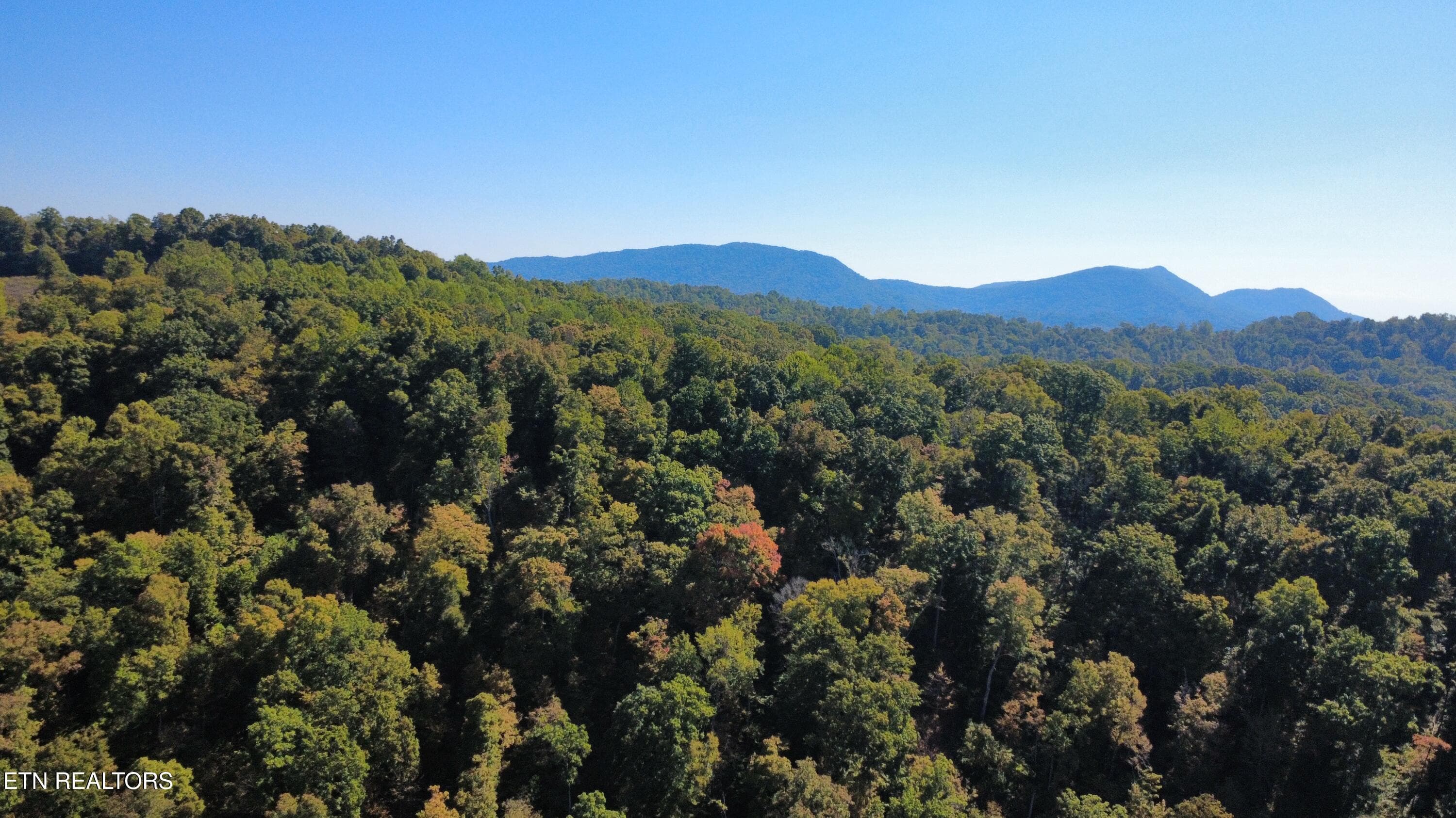 dji_fly_20261014_125852_75_1791997189613 - 771 Archer Rd, Luttrell, TN 37779, Luttrell