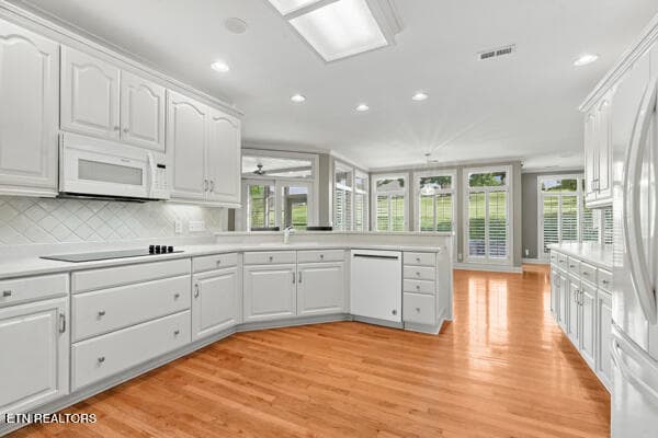 17 - 310 Pineberry Drive, Vonore, TN 37885, Vonore