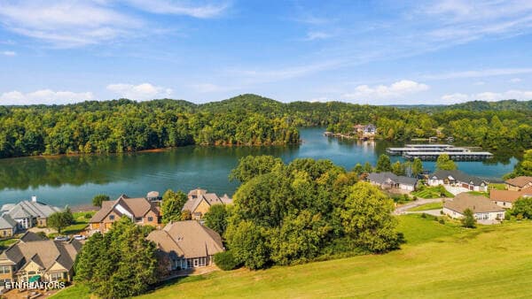 45 - 310 Pineberry Drive, Vonore, TN 37885, Vonore