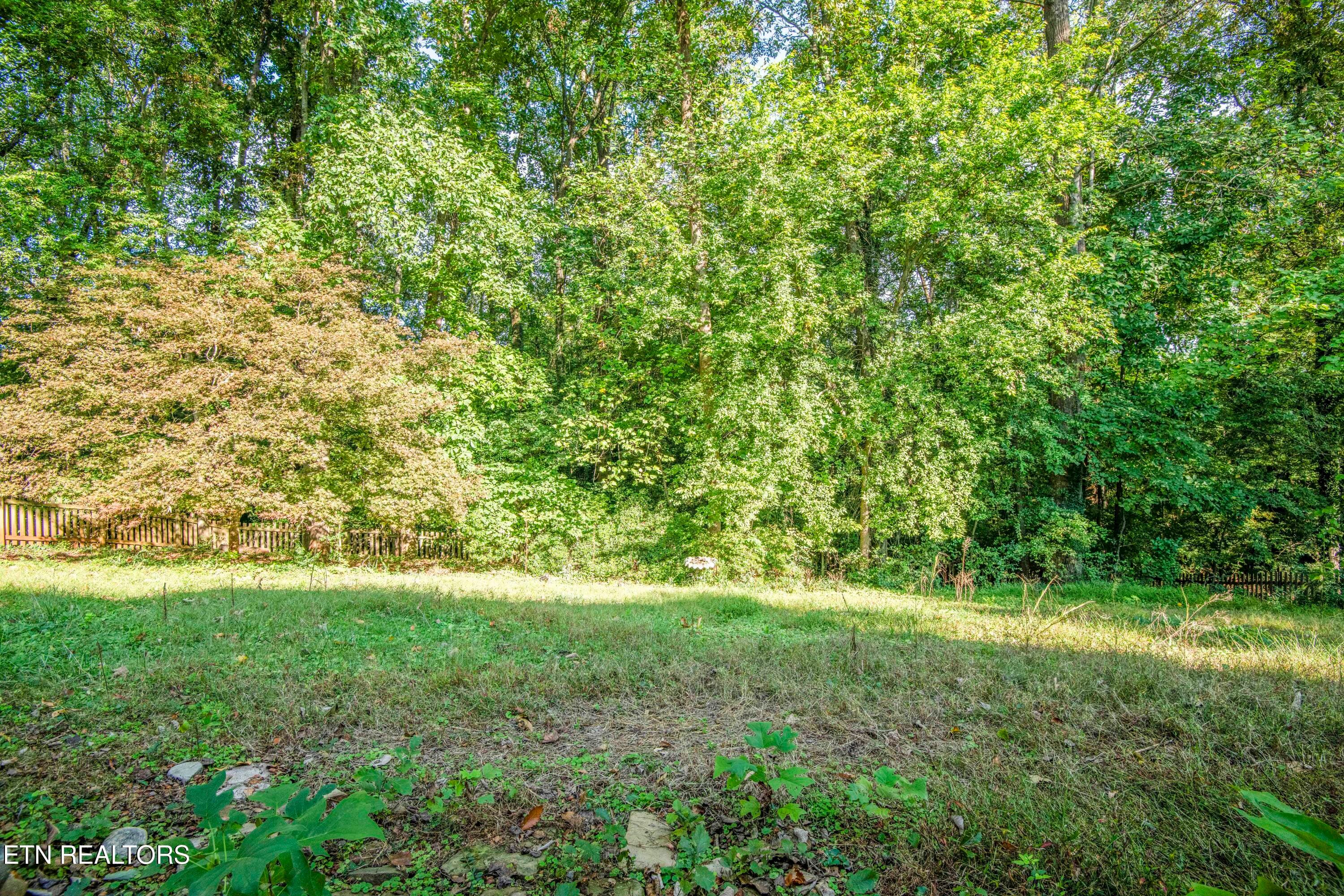Backyard - 7705 Twining Drive, Knoxville, TN 37919, Knoxville