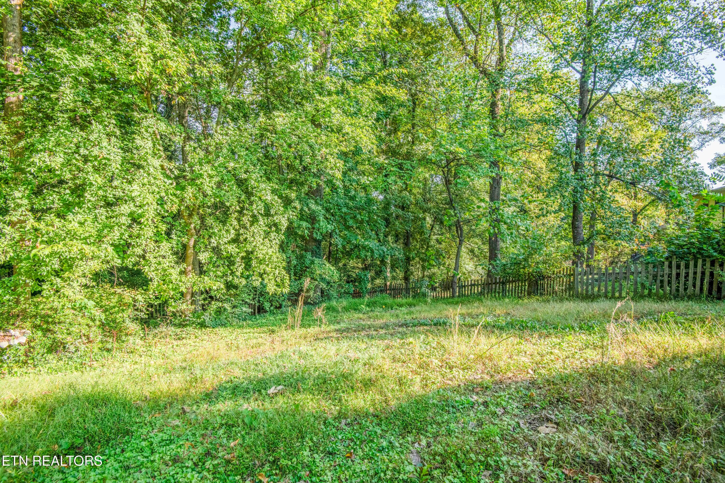 Backyard - 7705 Twining Drive, Knoxville, TN 37919, Knoxville