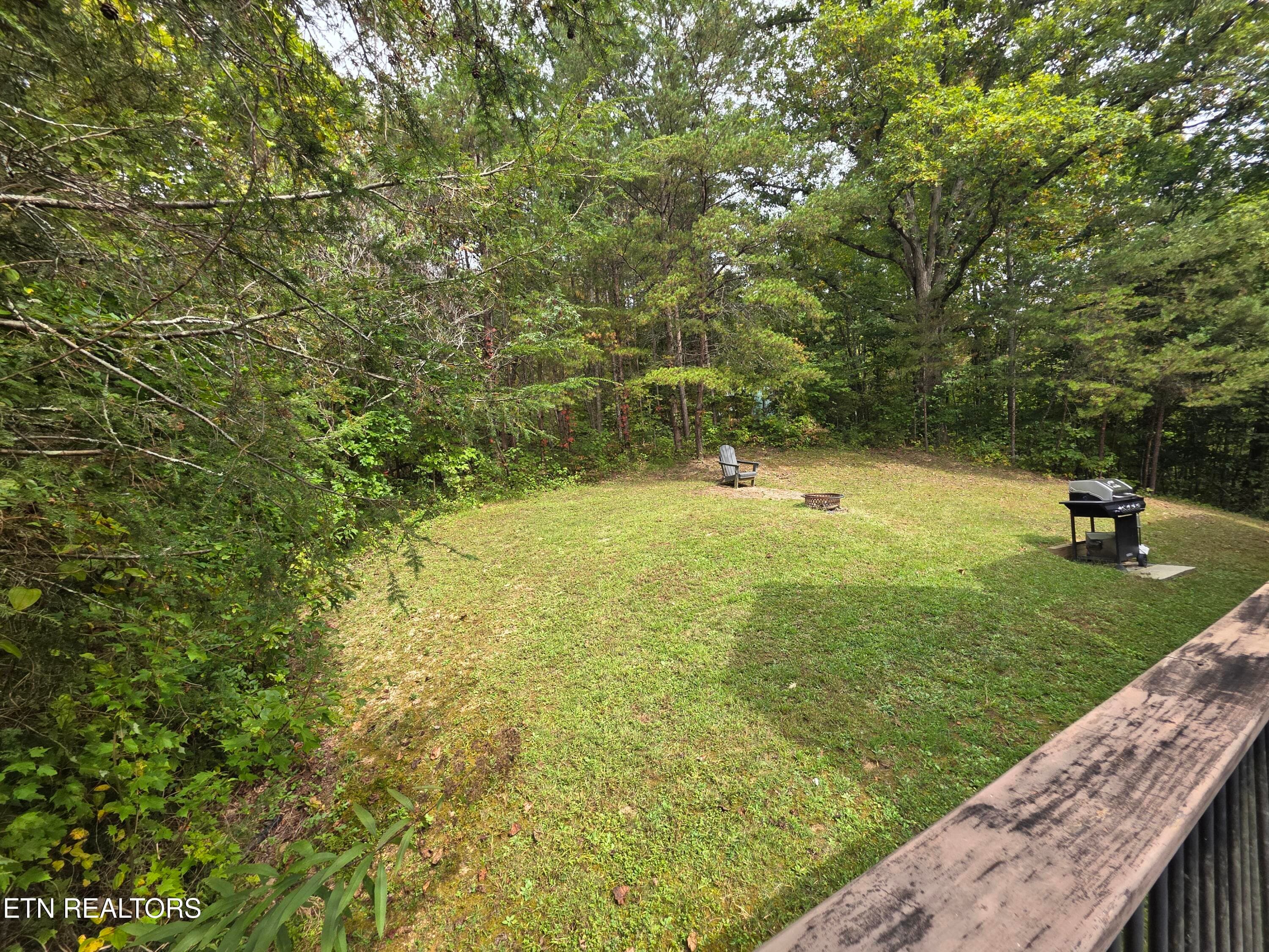 Back Yard - 2336 Breezy Rd, Sevierville, TN 37876, Sevierville