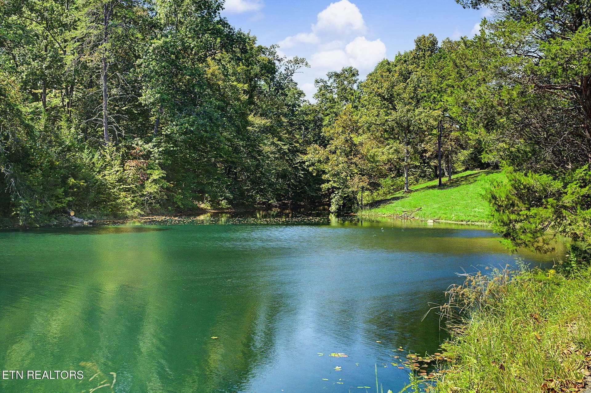 1-32 - 536 Corum Rd, Knoxville, TN 37924