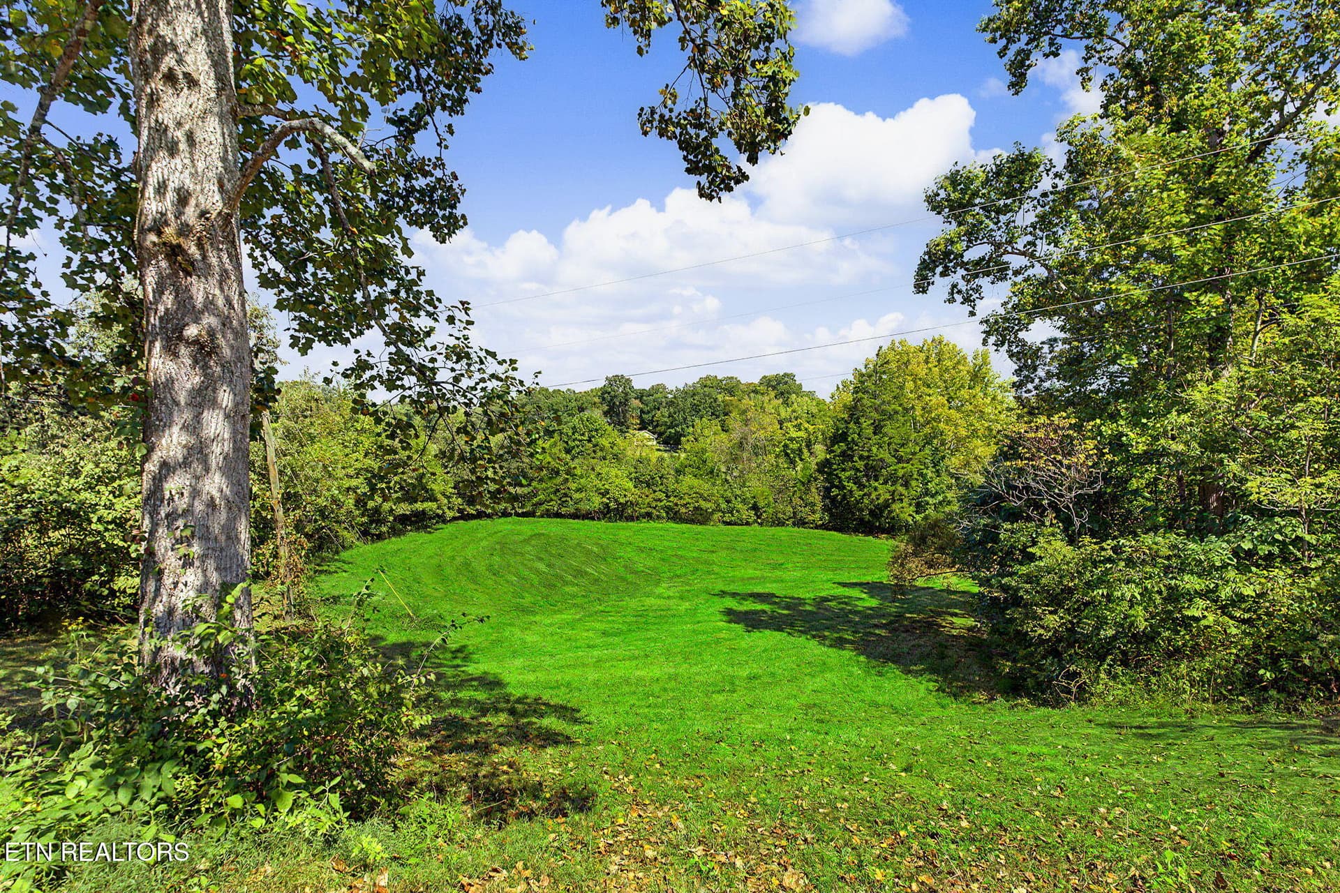 1-41 - 536 Corum Rd, Knoxville, TN 37924