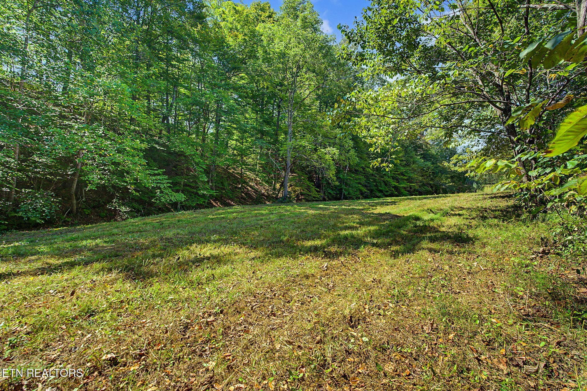 1-43 - 536 Corum Rd, Knoxville, TN 37924