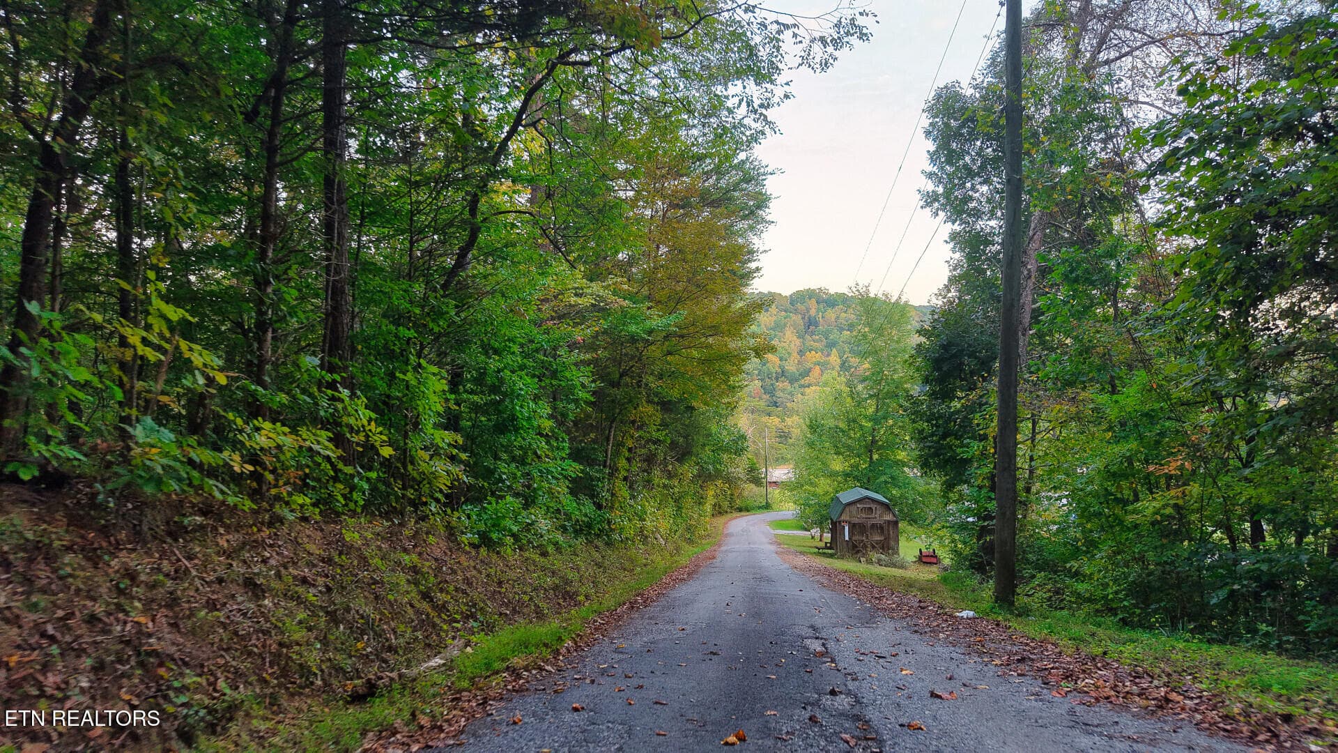 WilliamsDrive_73748_24 - Williams Drive, Maynardville, TN 37807