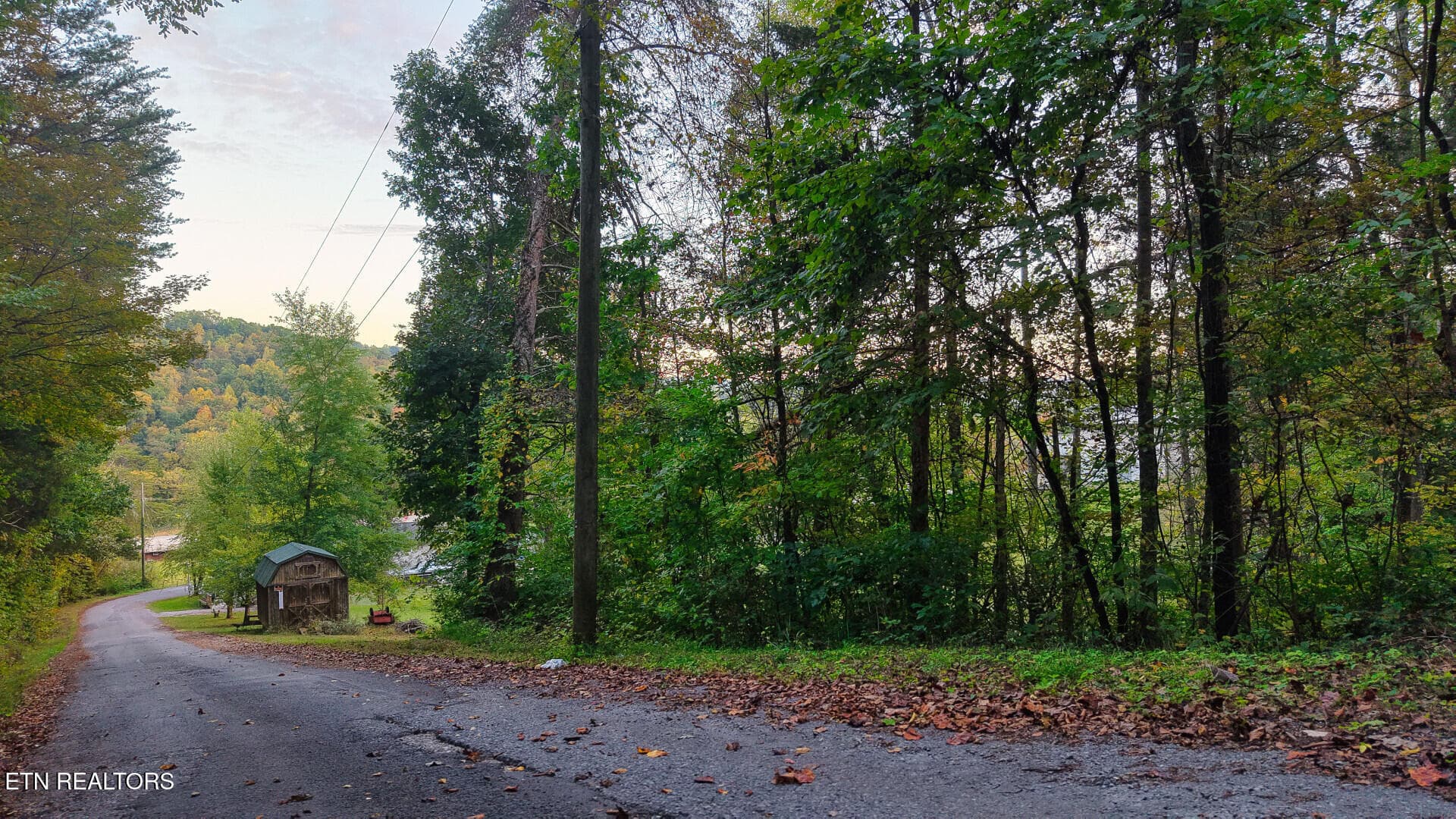 WilliamsDrive_73748_25 - Williams Drive, Maynardville, TN 37807