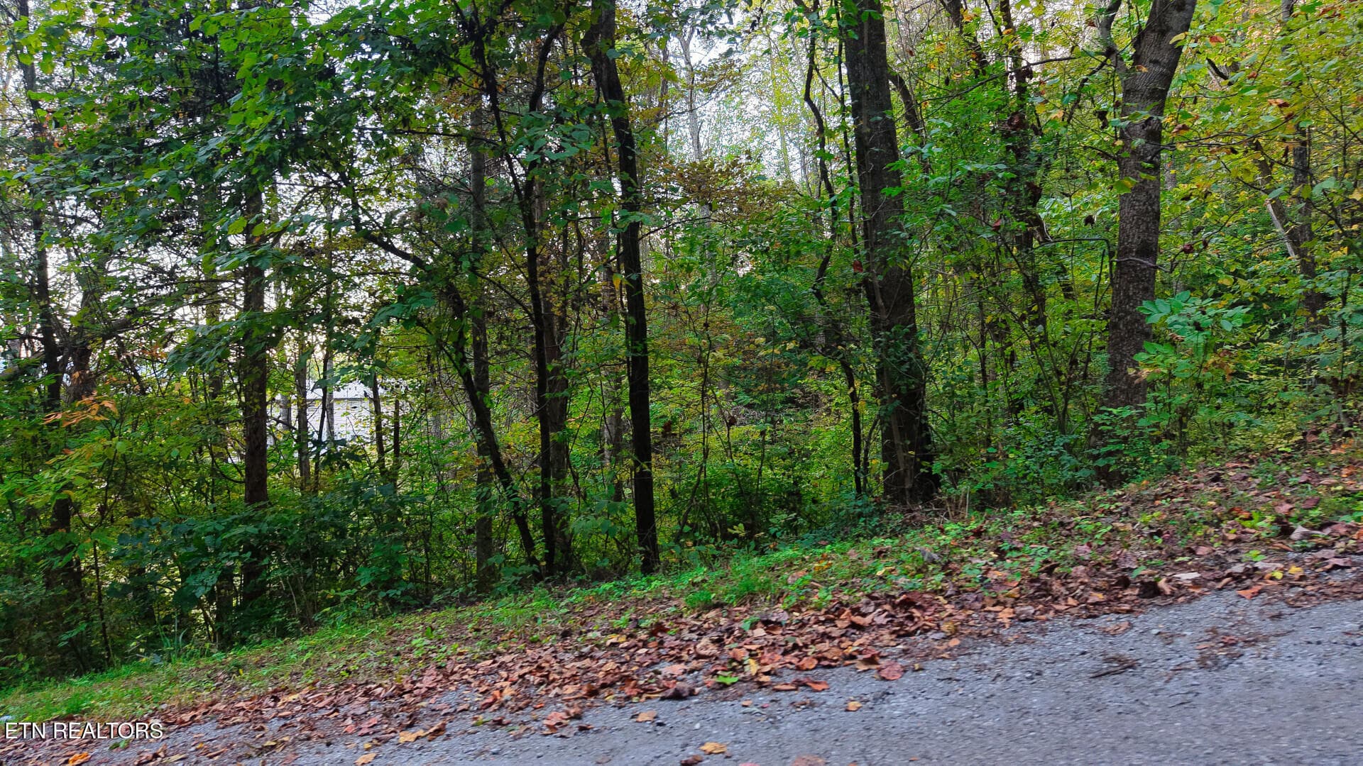 WilliamsDrive_73748_26 - Williams Drive, Maynardville, TN 37807
