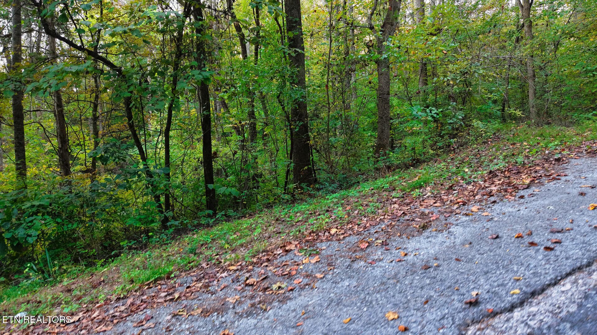 WilliamsDrive_73748_27 - Williams Drive, Maynardville, TN 37807