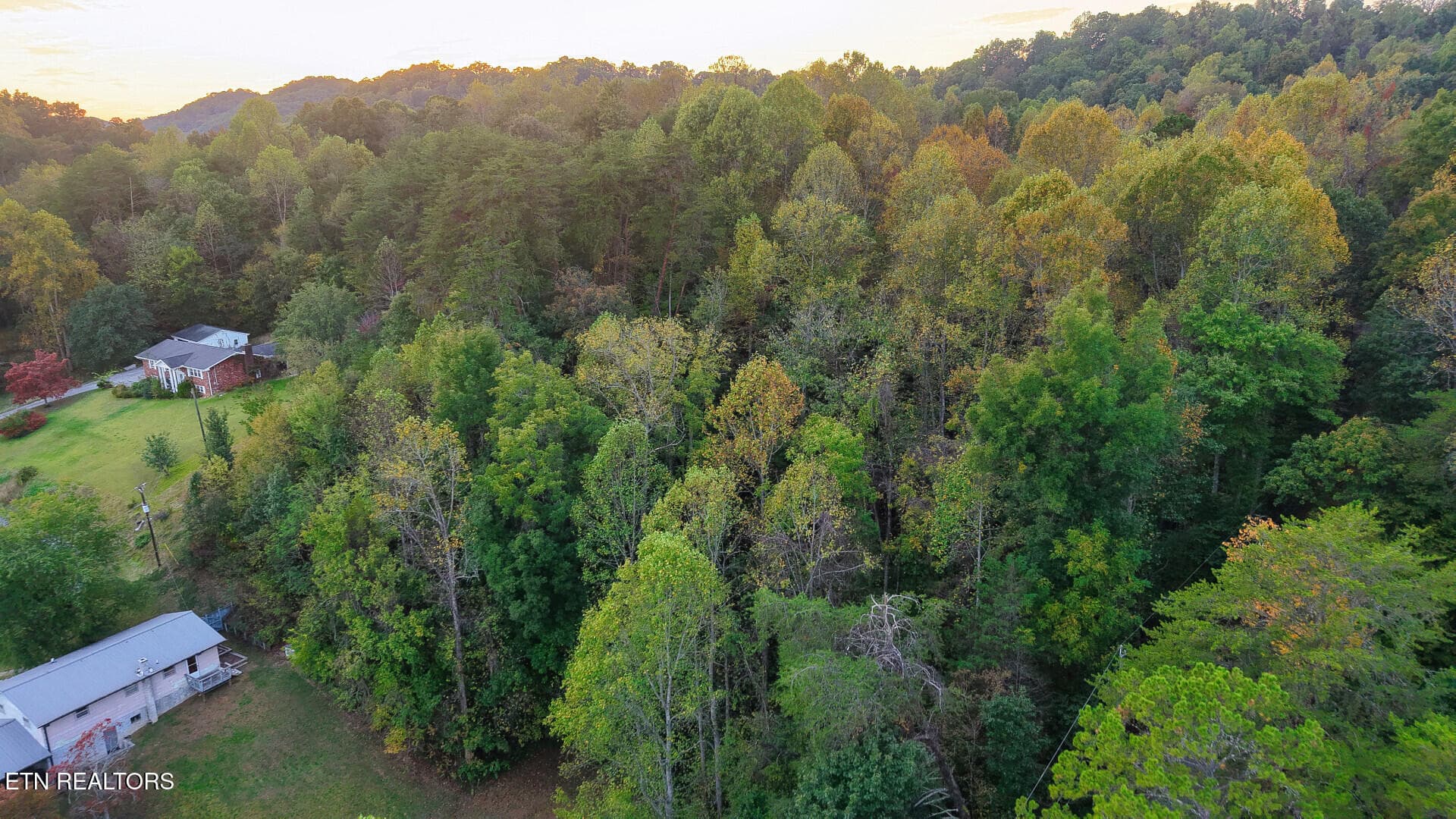 WilliamsDrive_73748_29 - Williams Drive, Maynardville, TN 37807