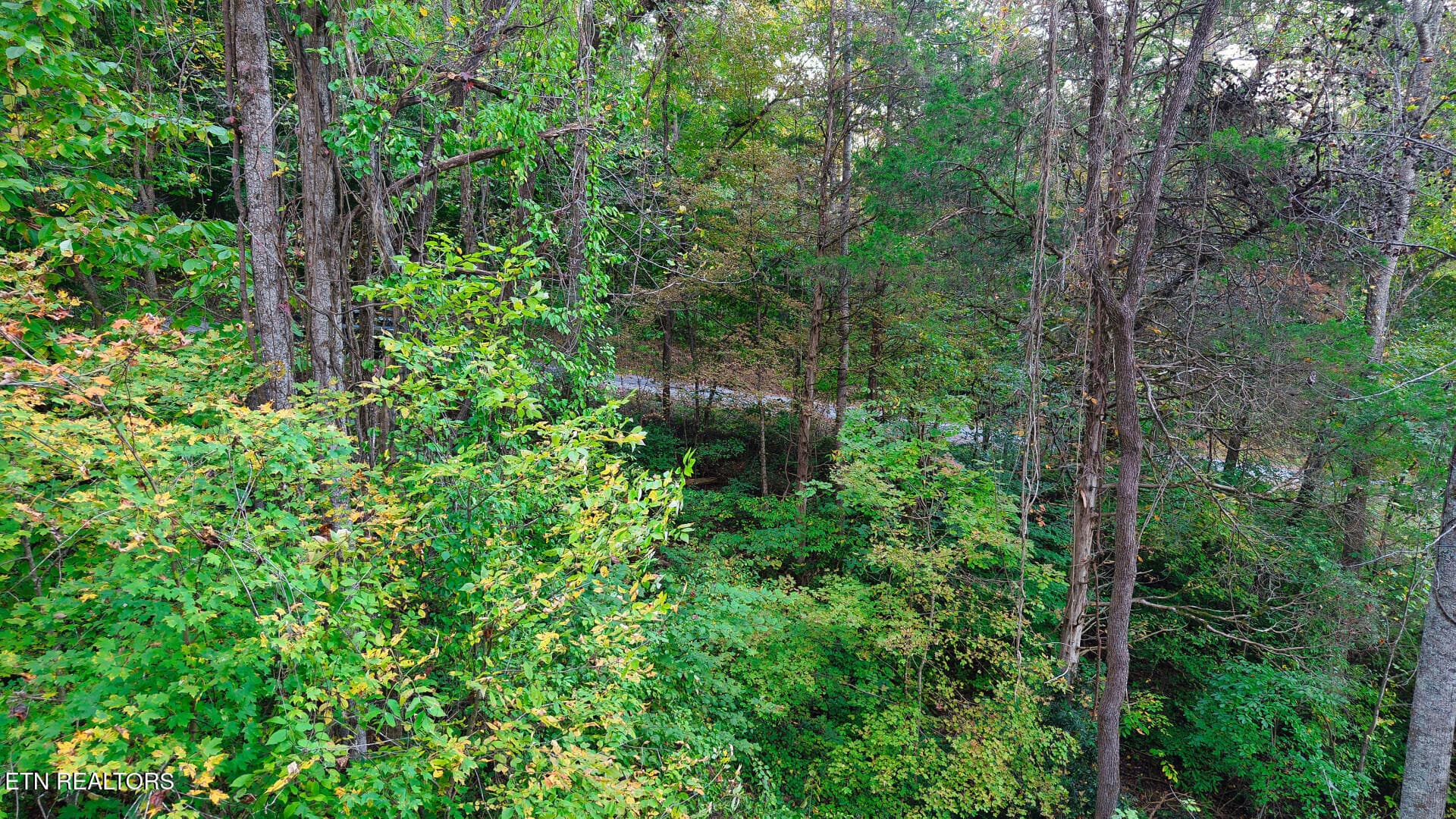 WilliamsDrive_73748_35 - Williams Drive, Maynardville, TN 37807