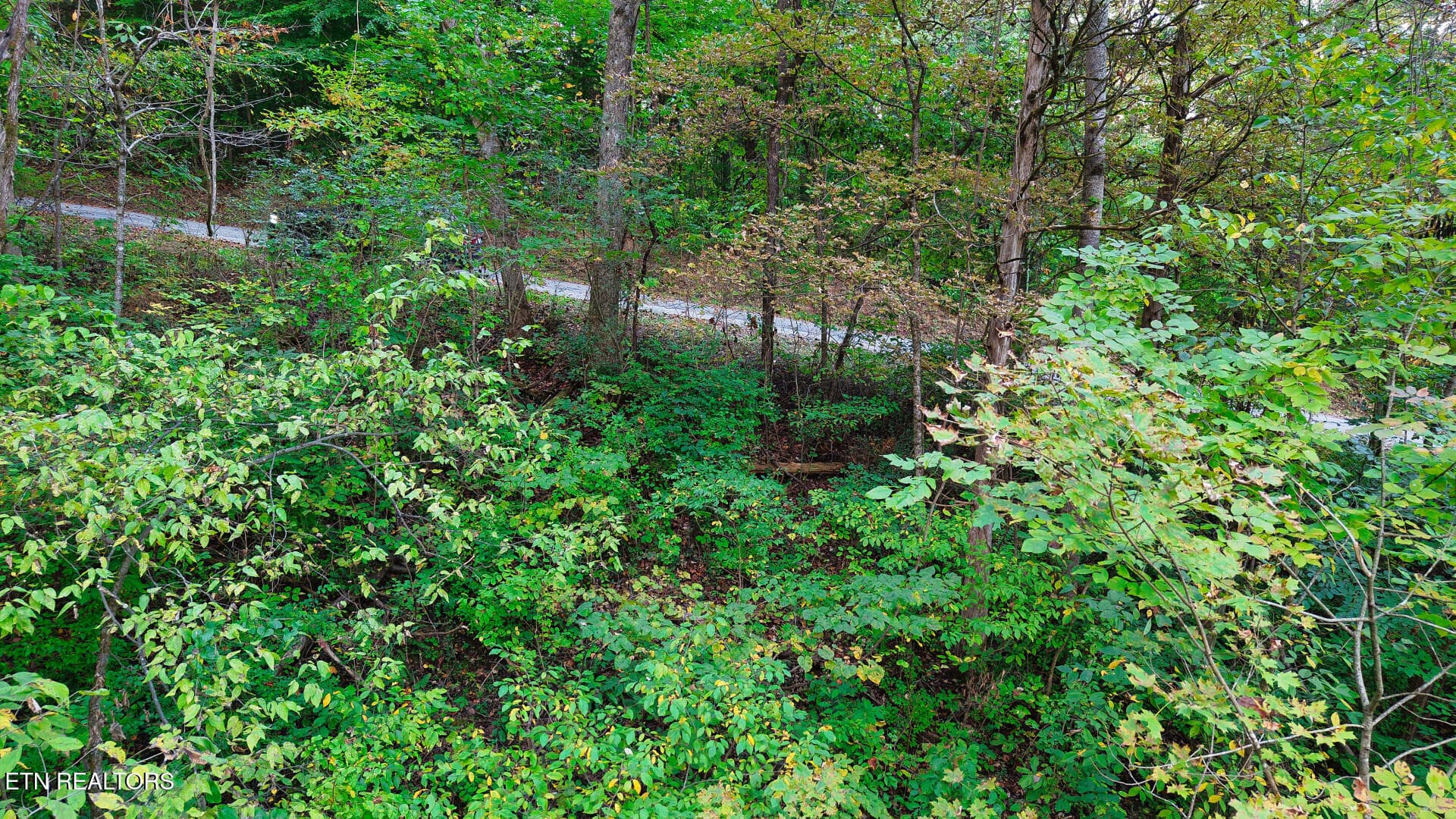 WilliamsDrive_73748_37 - Williams Drive, Maynardville, TN 37807