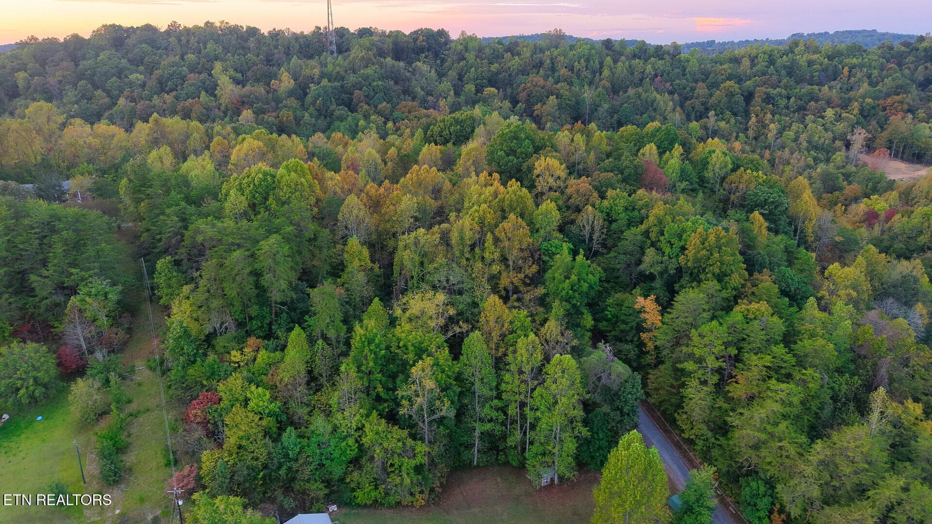 WilliamsDrive_73748_44 - Williams Drive, Maynardville, TN 37807