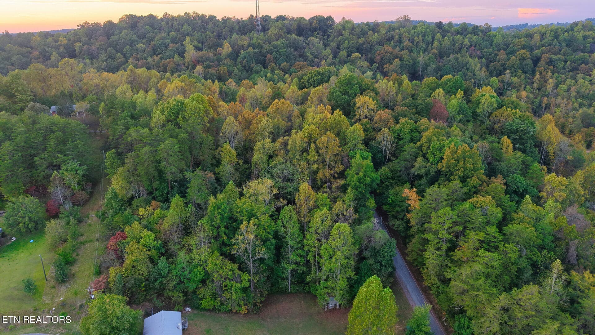WilliamsDrive_73748_45 - Williams Drive, Maynardville, TN 37807