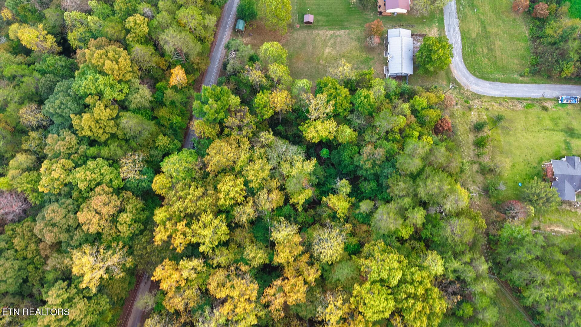 WilliamsDrive_73748_54 - Williams Drive, Maynardville, TN 37807