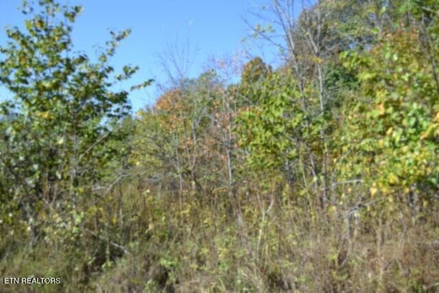 DSC_0010 - 5.73ac Mate Allen Rd, Gainesboro, TN 38562