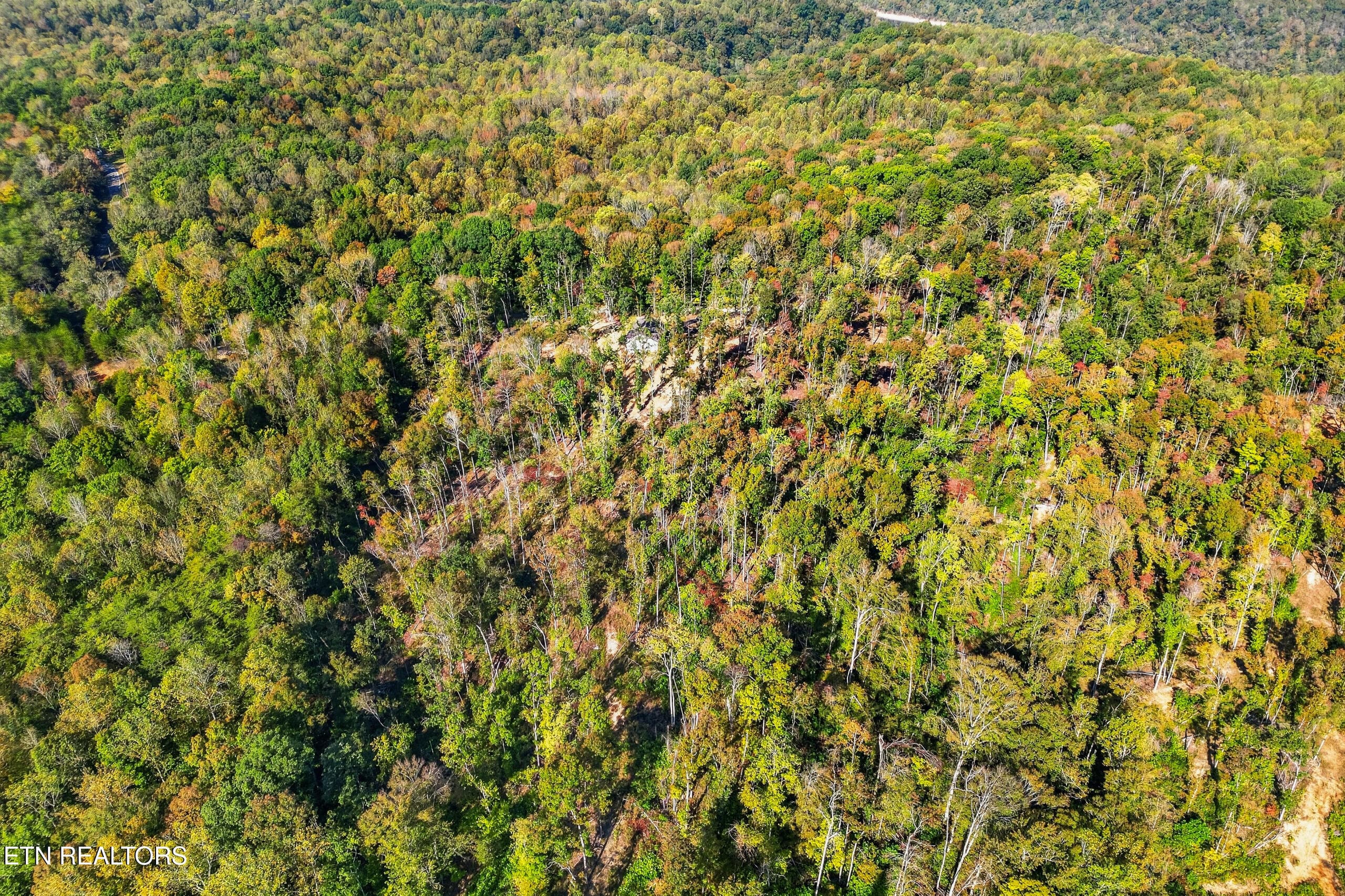 039_DJI_0540-2 - 997 Hutchins Bend Rd, Sparta, TN 38583