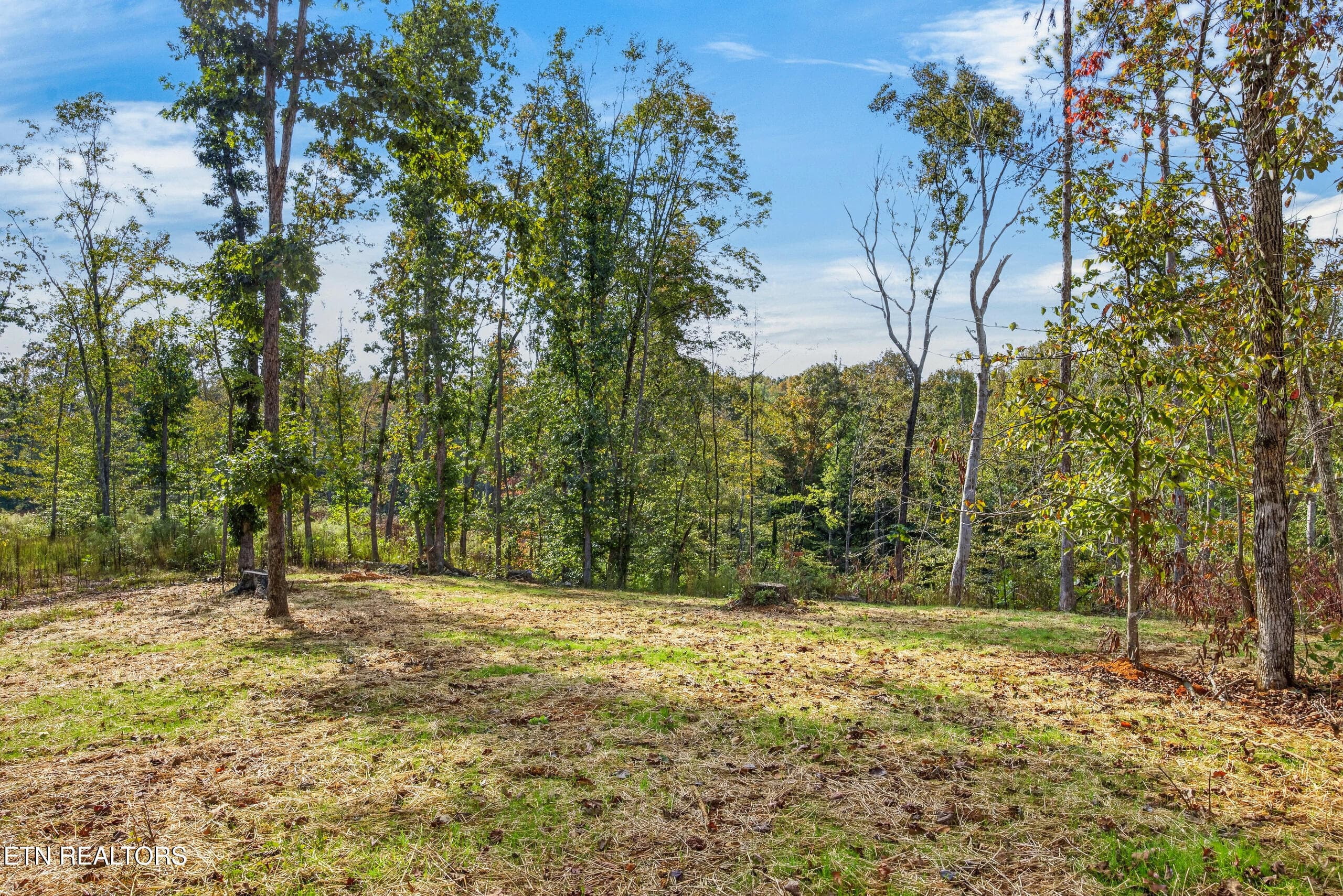 029_8N5A1601 - 997 Hutchins Bend Rd, Sparta, TN 38583