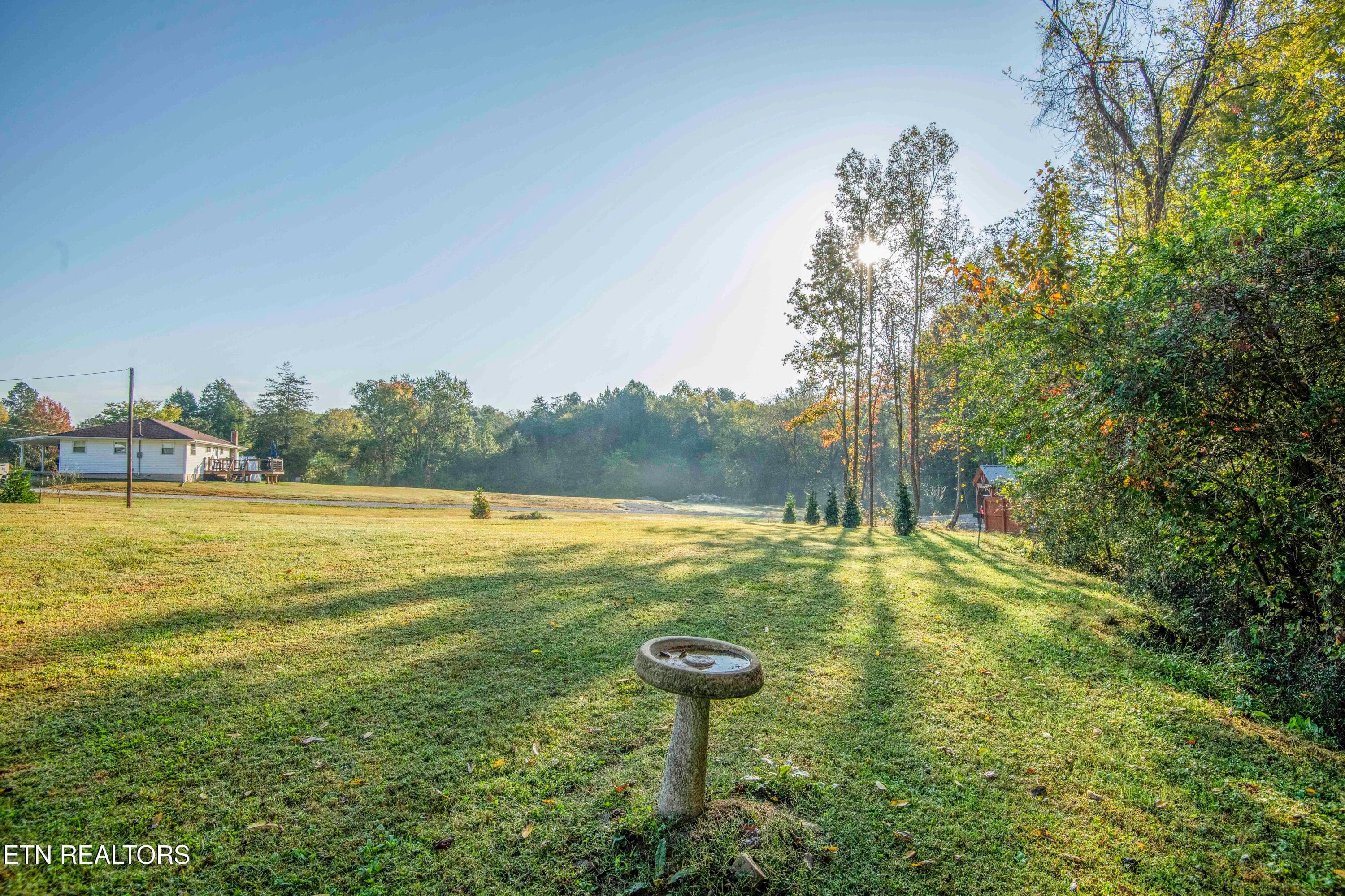 yard 4_1 - 3337 Buttermilk Rd, Lenoir City, TN 37771, Lenoir City