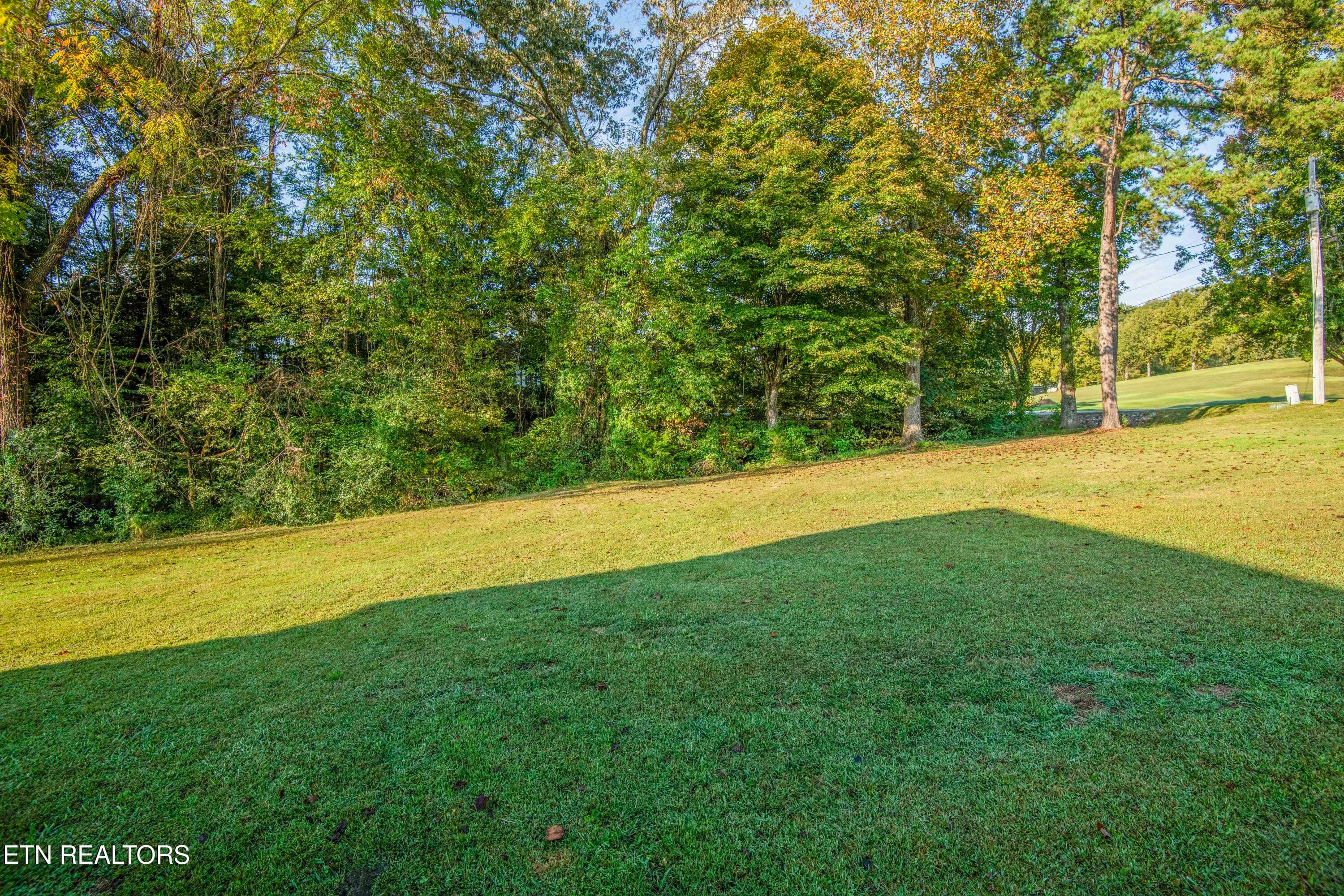 yard_1 - 3337 Buttermilk Rd, Lenoir City, TN 37771, Lenoir City