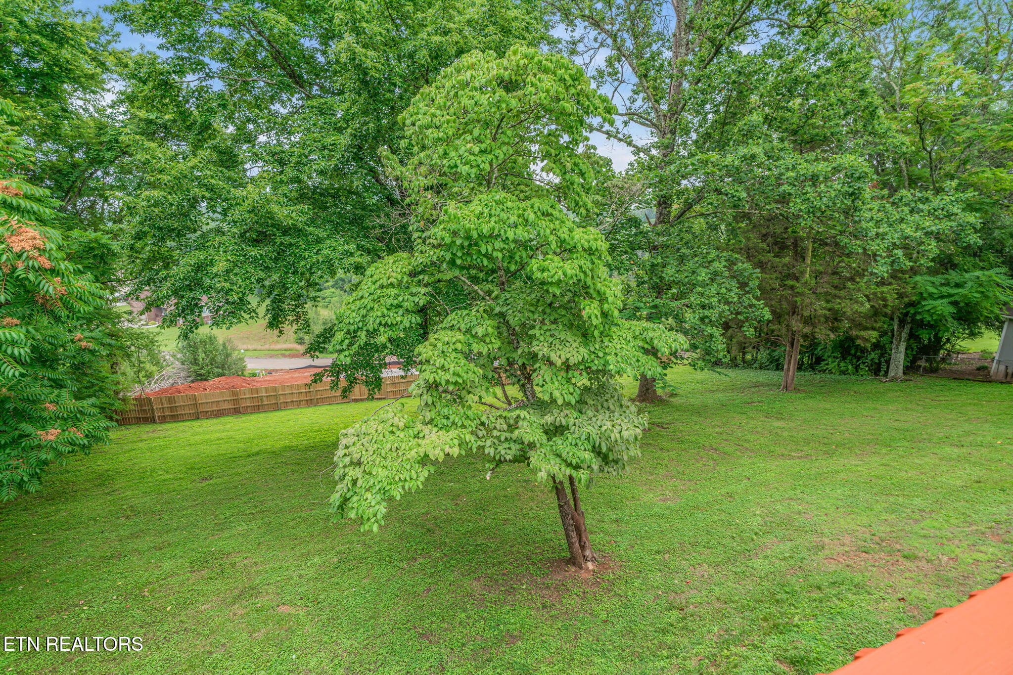19-web-or-mls-1221 Laurel Road-12 - 1221 Laurel Rd, Clinton, TN 37716