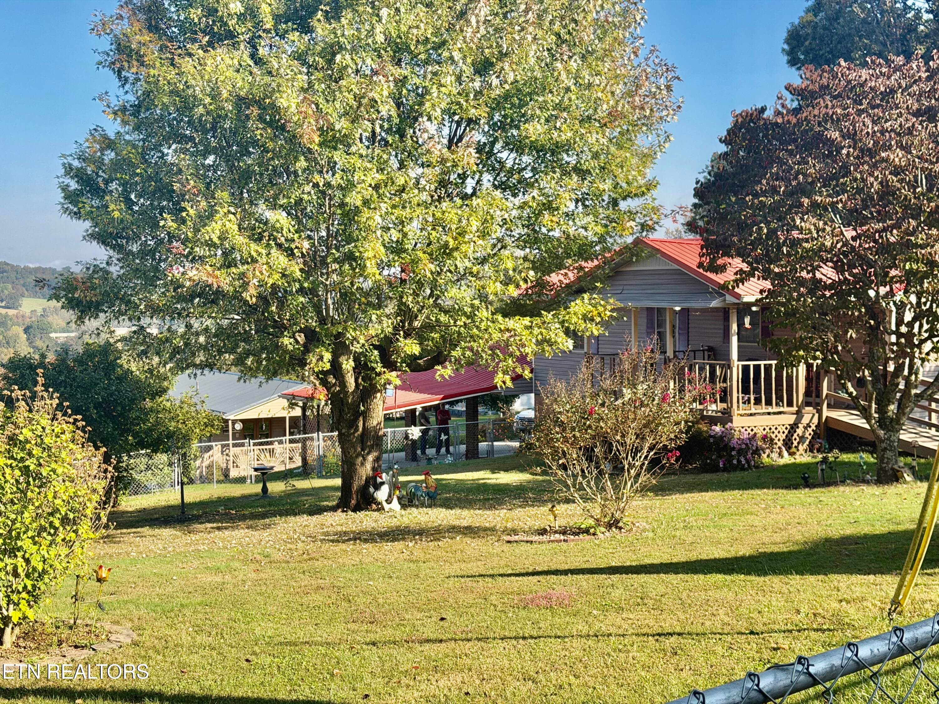 IMG_6452 - 209 Sterchi Drive, New Tazewell, TN 37825