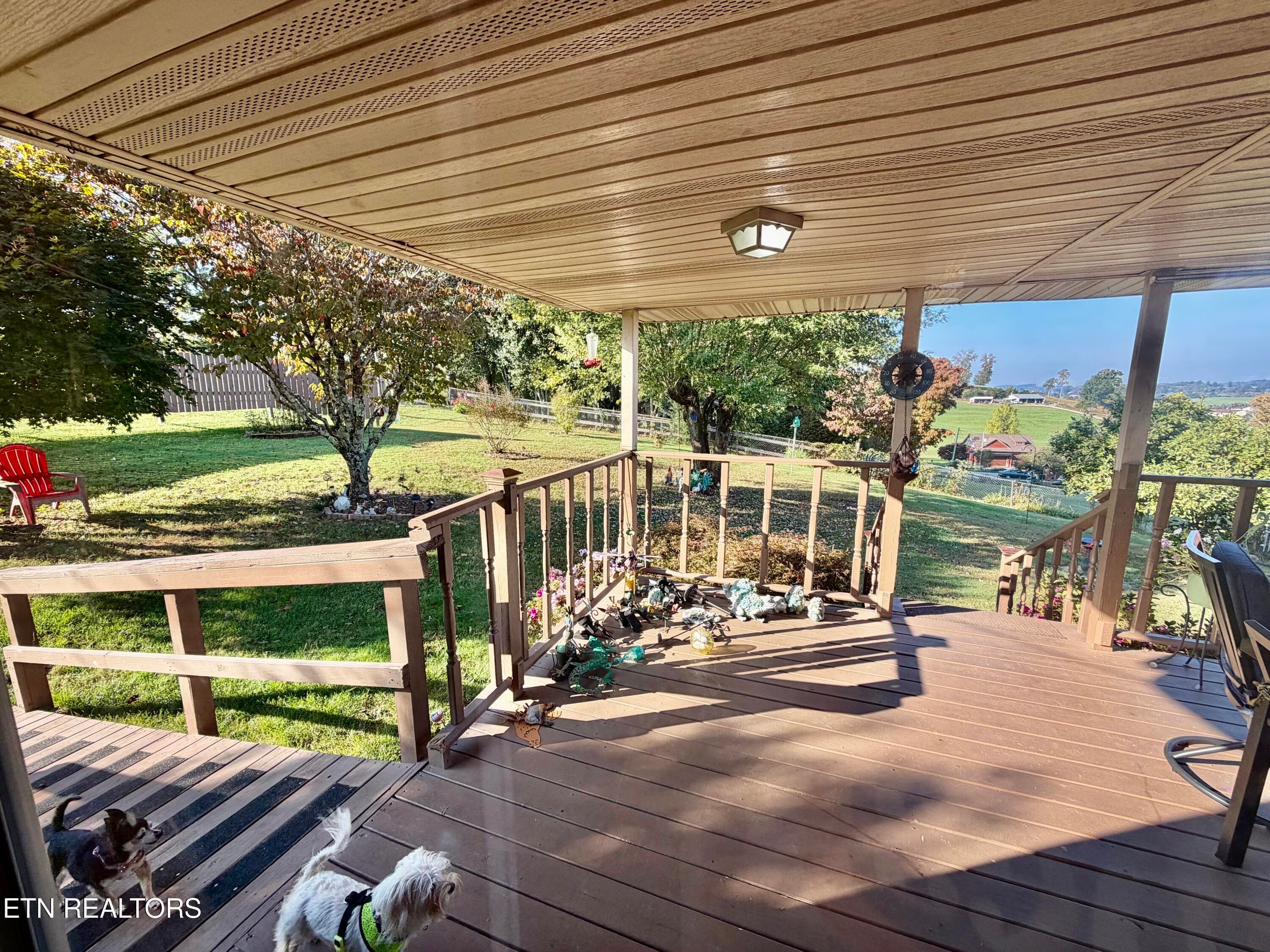 IMG_6424 - 209 Sterchi Drive, New Tazewell, TN 37825