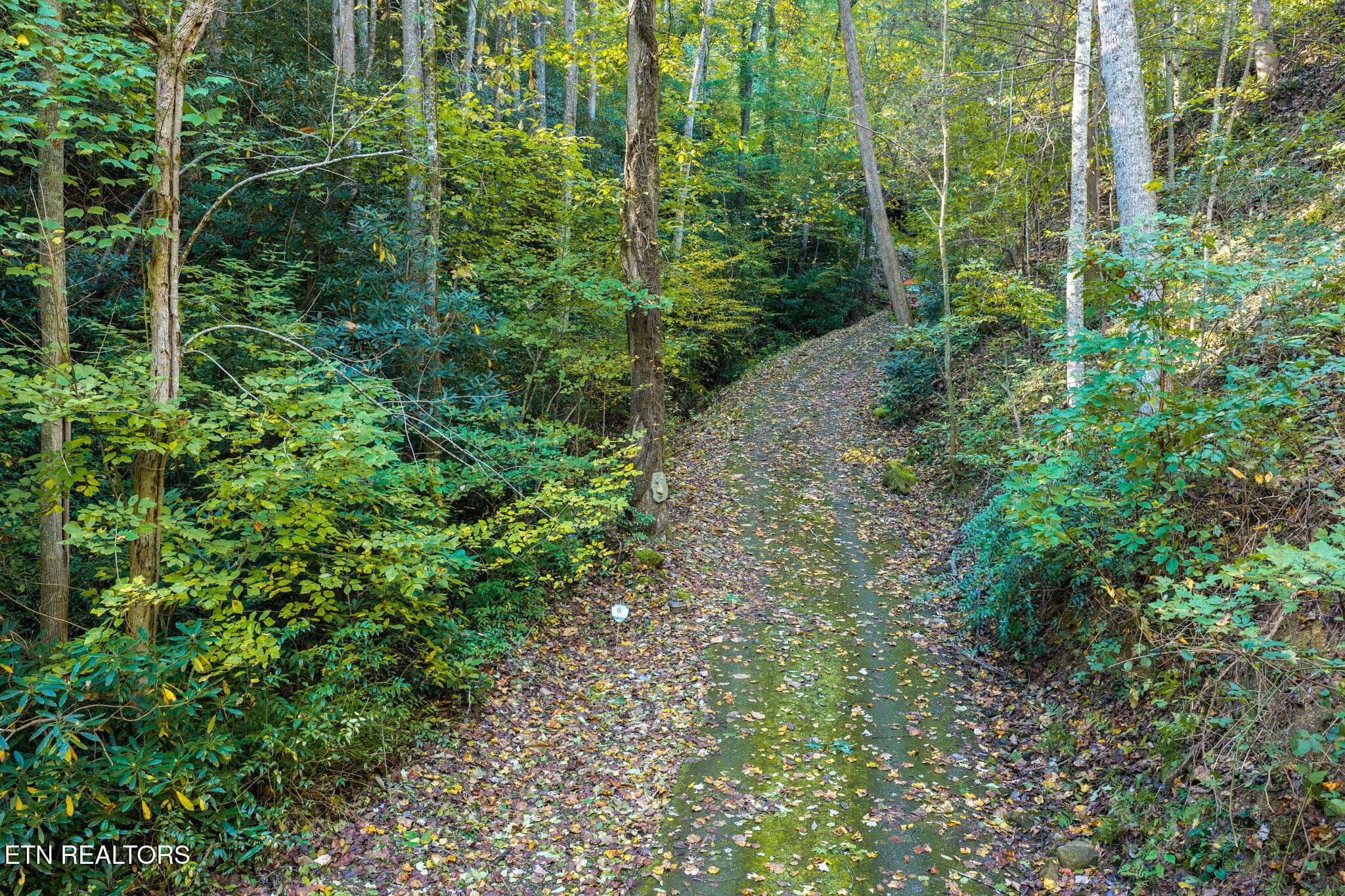 homesandvideos 826-1038 - 283 Costner Rd, Cosby, TN 37722