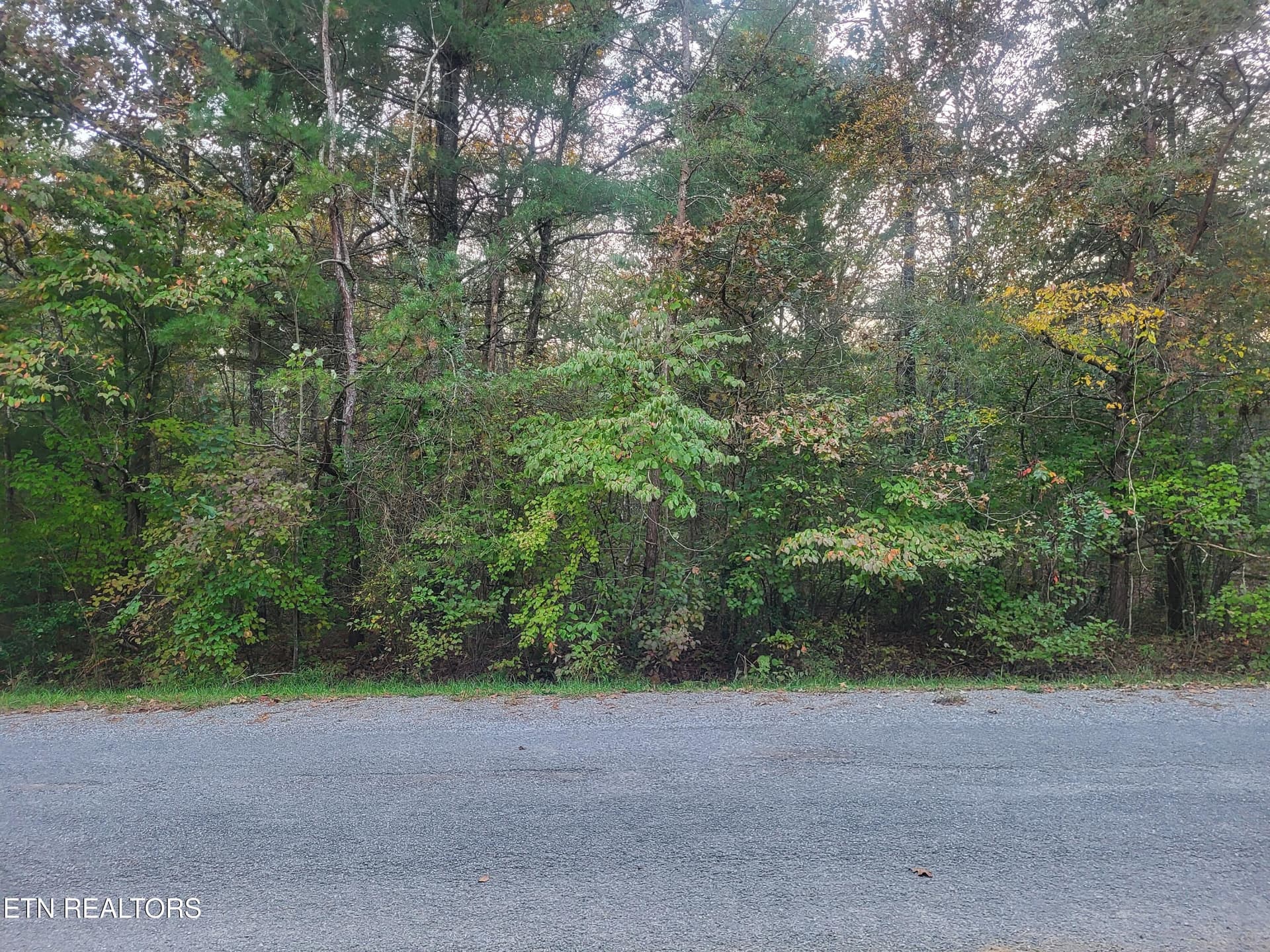 122 Newcastle Lane, Crossville, TN 38558