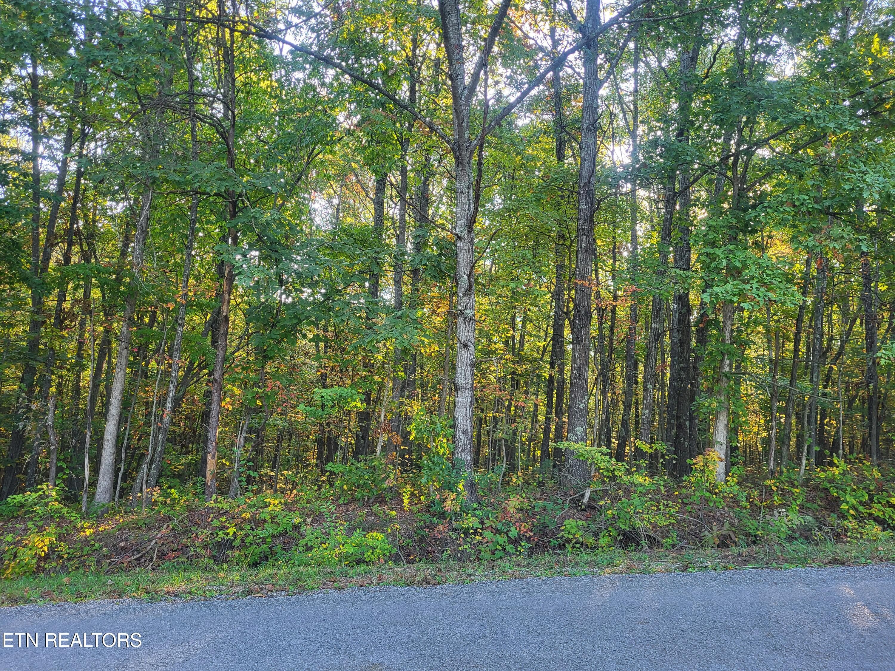 231 Malvern Rd, Crossville, TN 38558