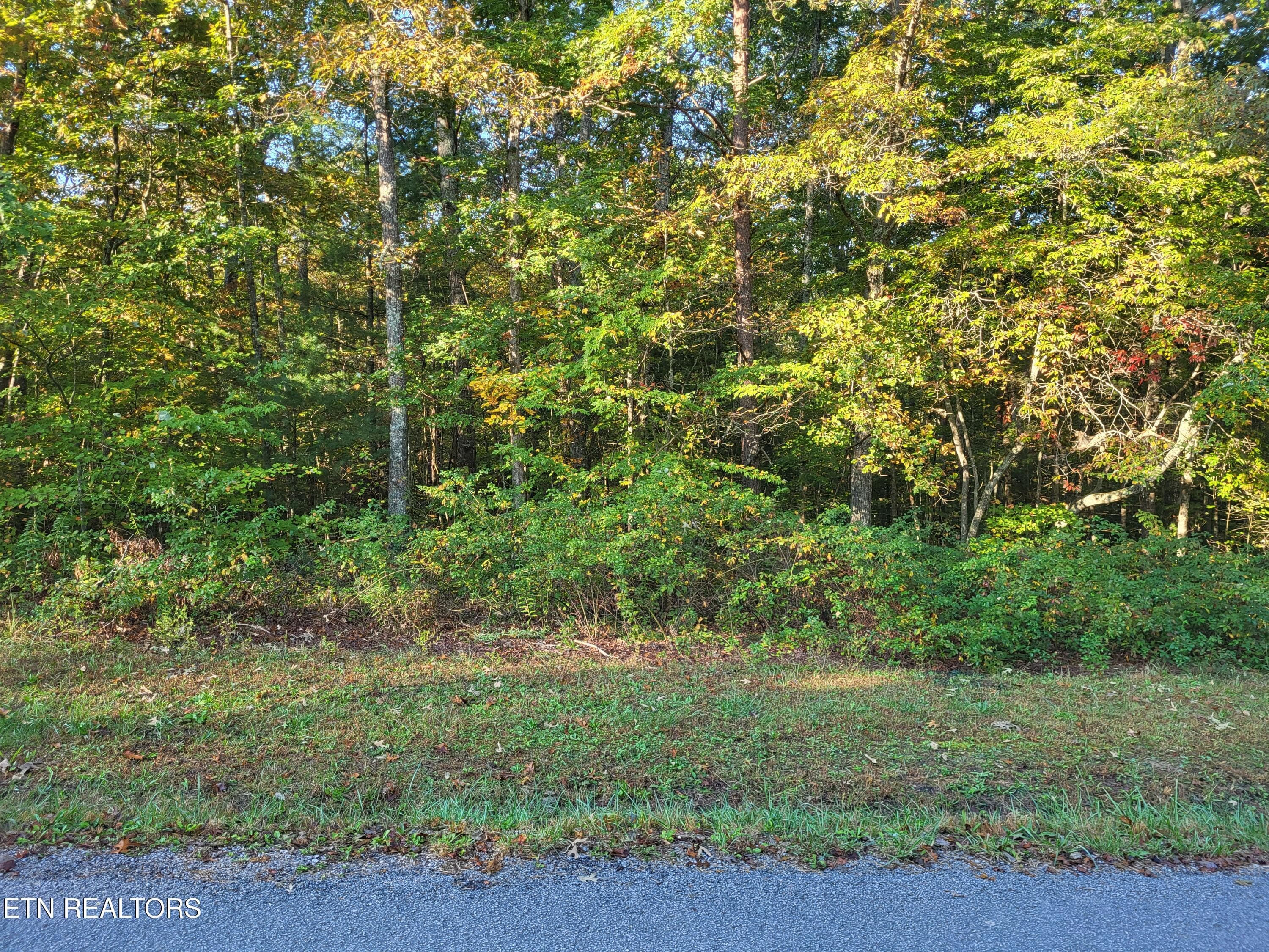 454 Marmaduke Drive, Crossville, TN 38558
