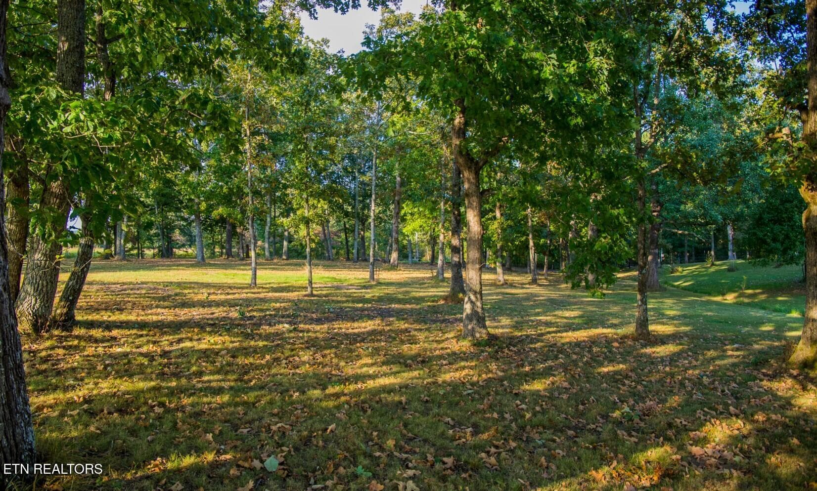 BEAUTIFUL SETTING - 493 Woodgate Drive, Crossville, TN 38571, Crossville