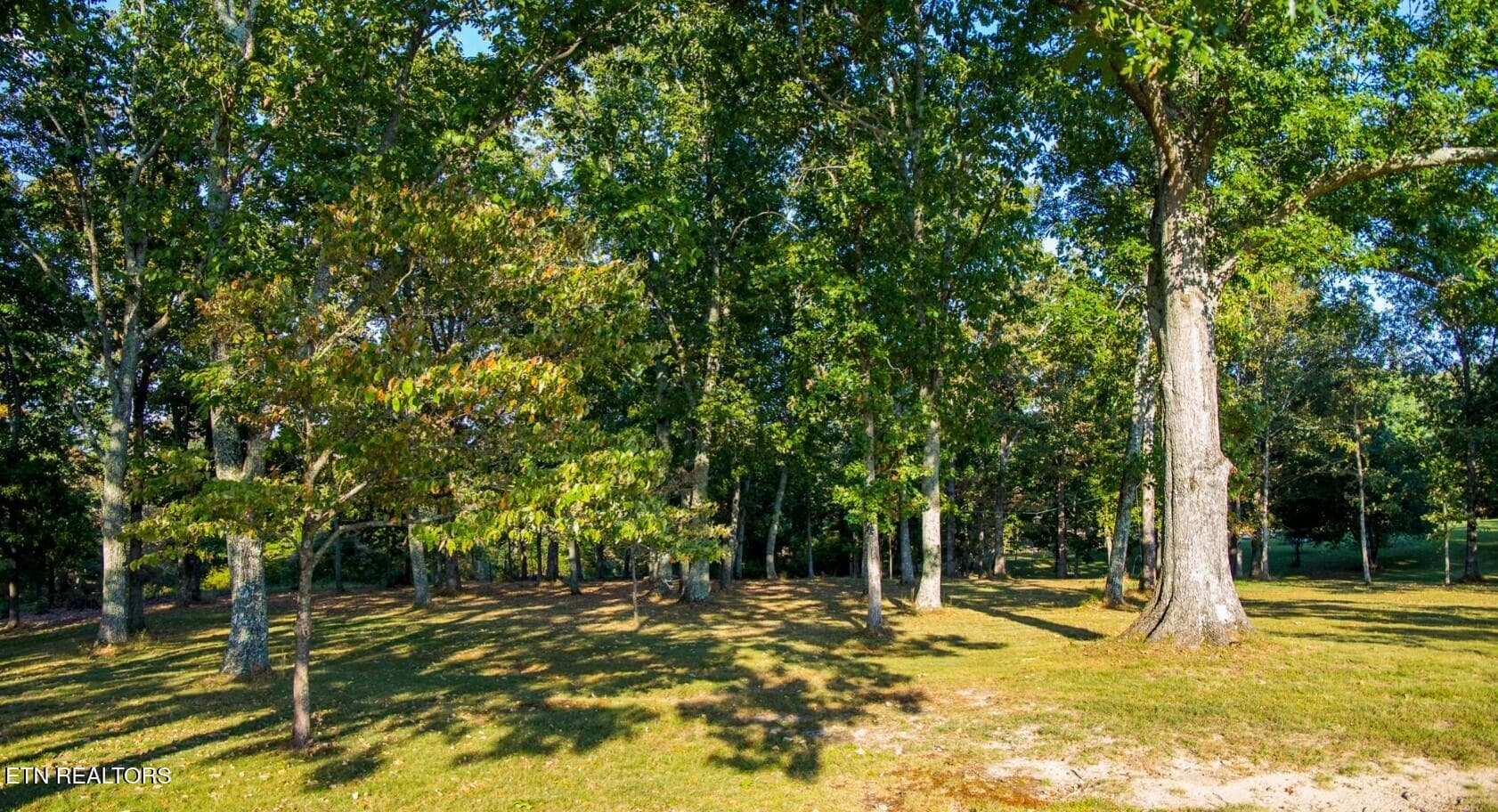 PARK SETTING - 493 Woodgate Drive, Crossville, TN 38571, Crossville